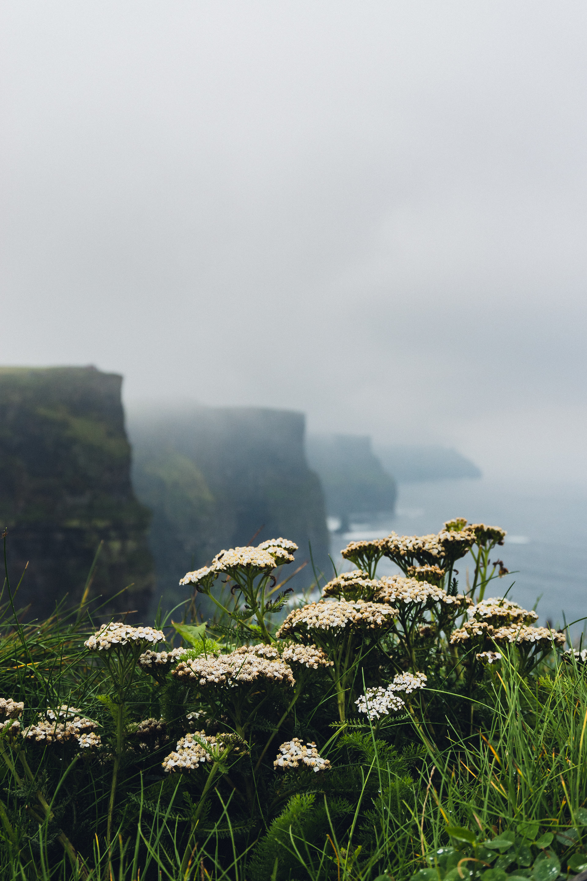 Cliff of Moher