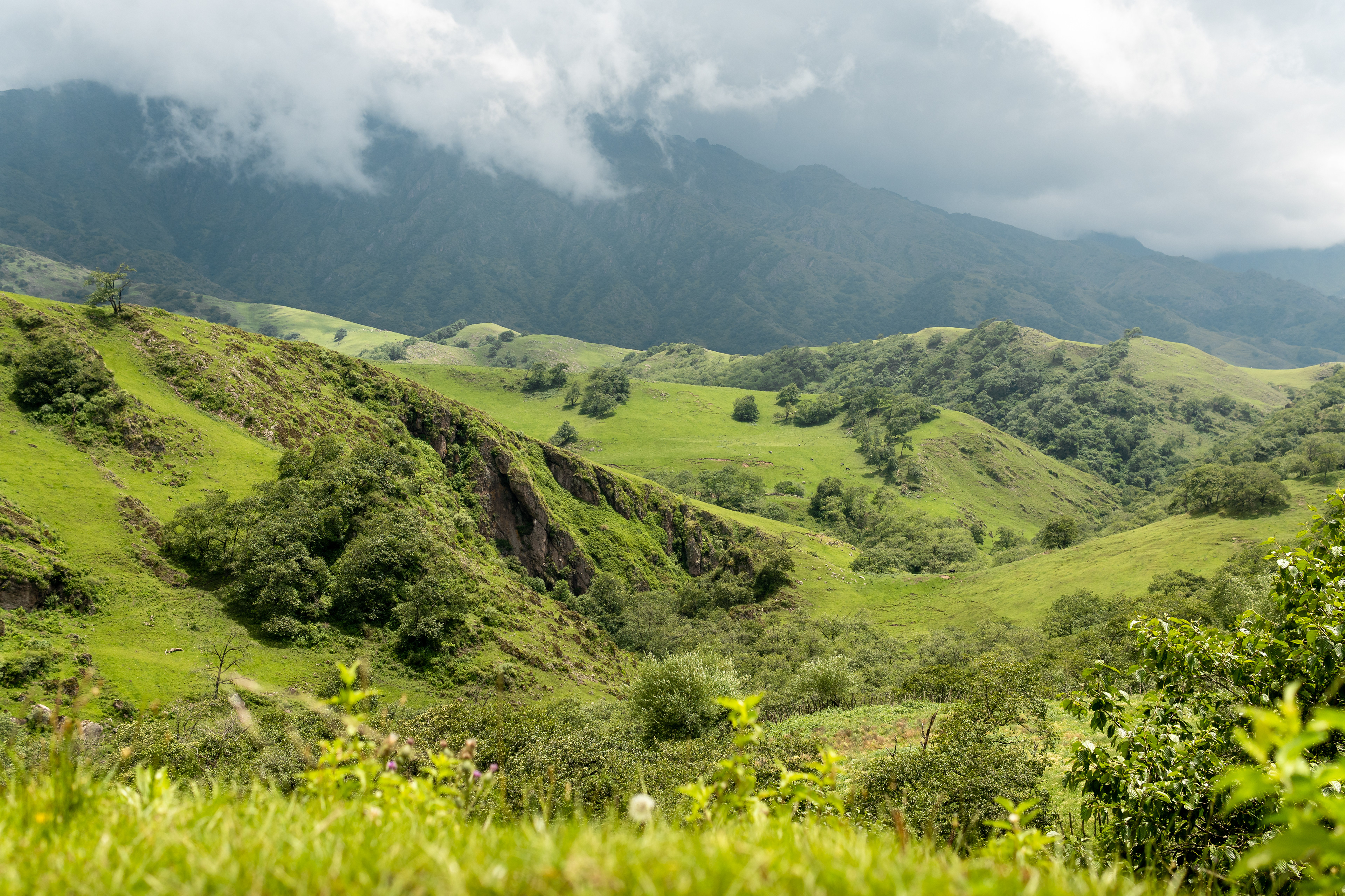 Quebrada del Portugues, Tafi del Valle Tucuman