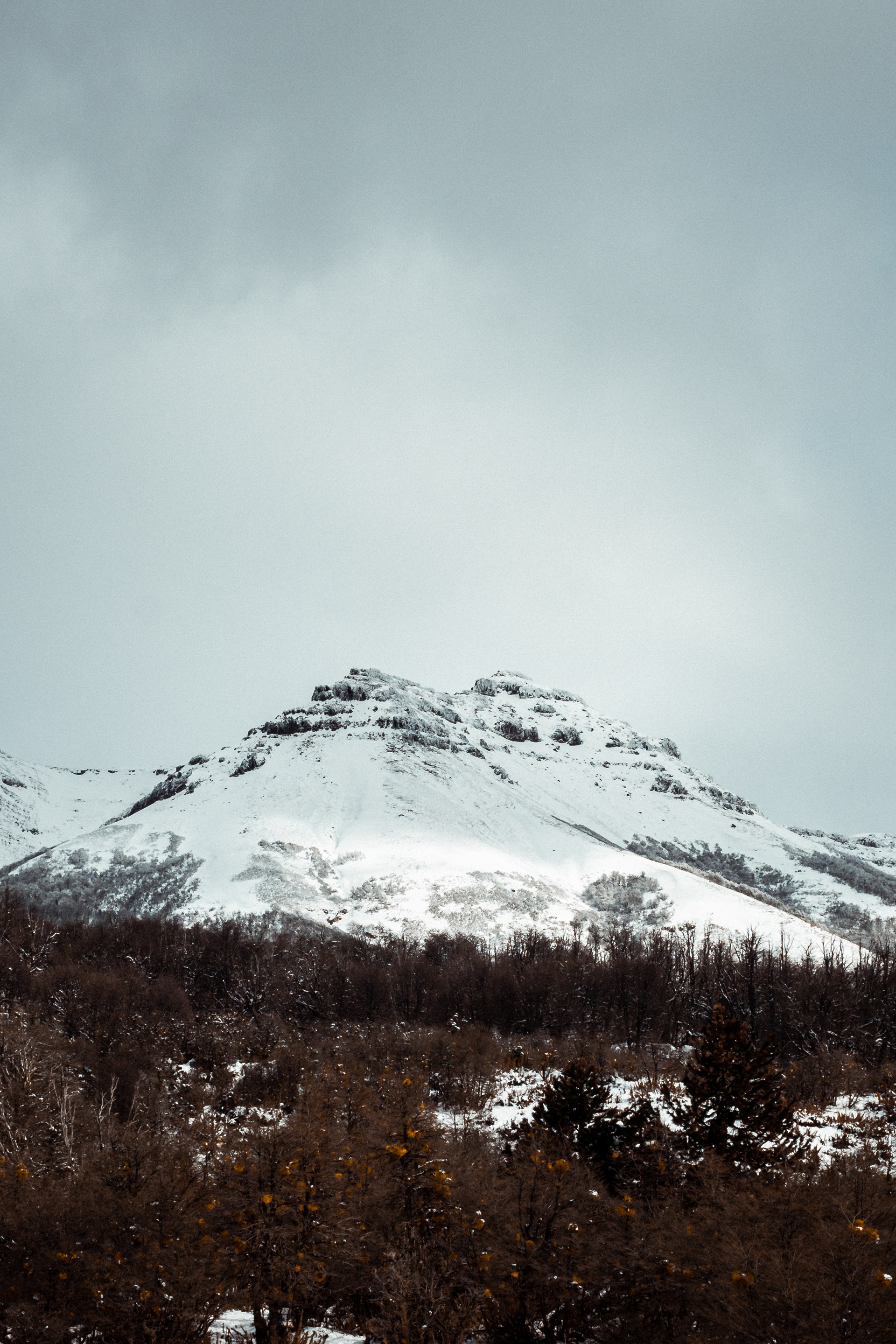Cerro Chapelco