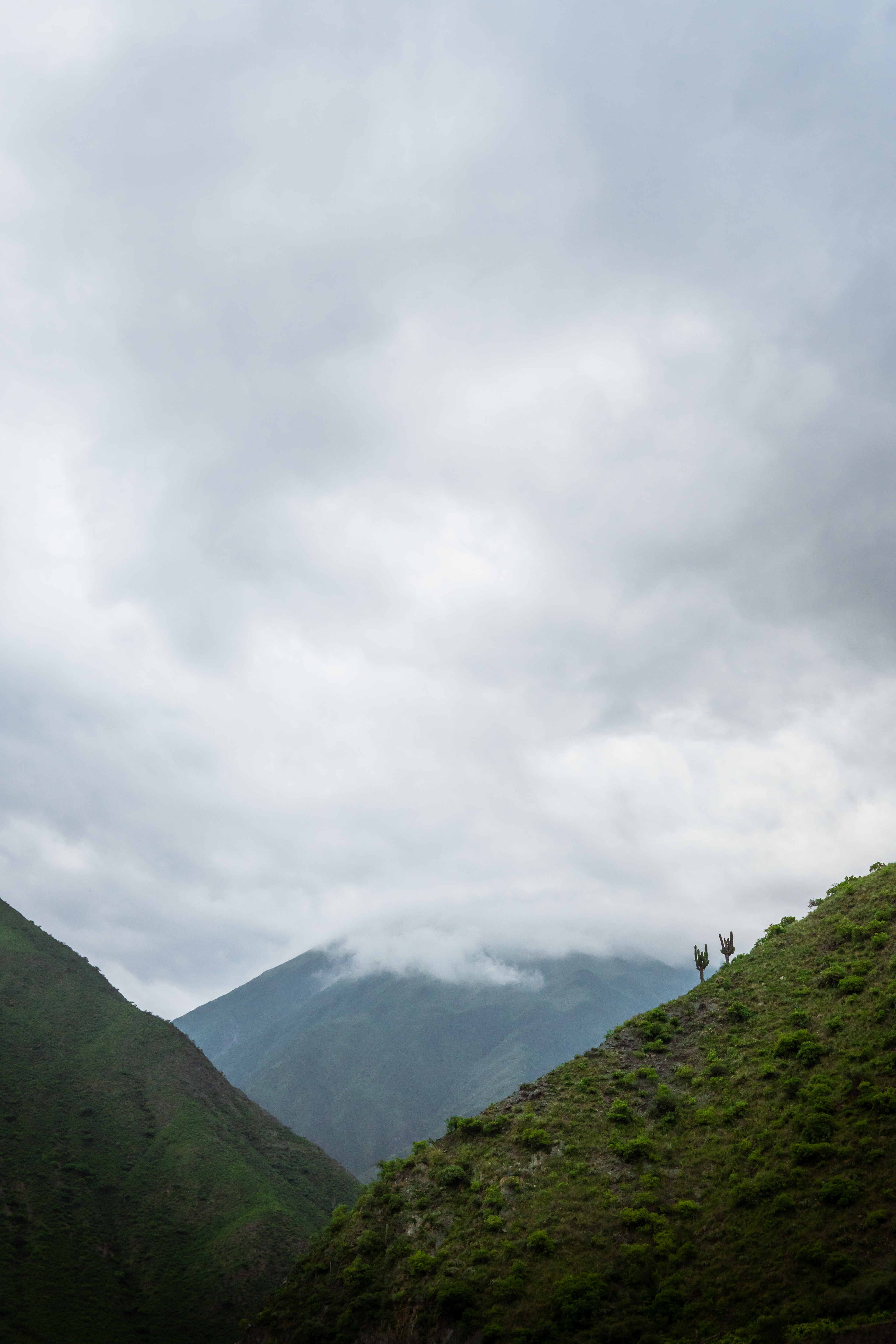 Quebrada de Toro, Salta