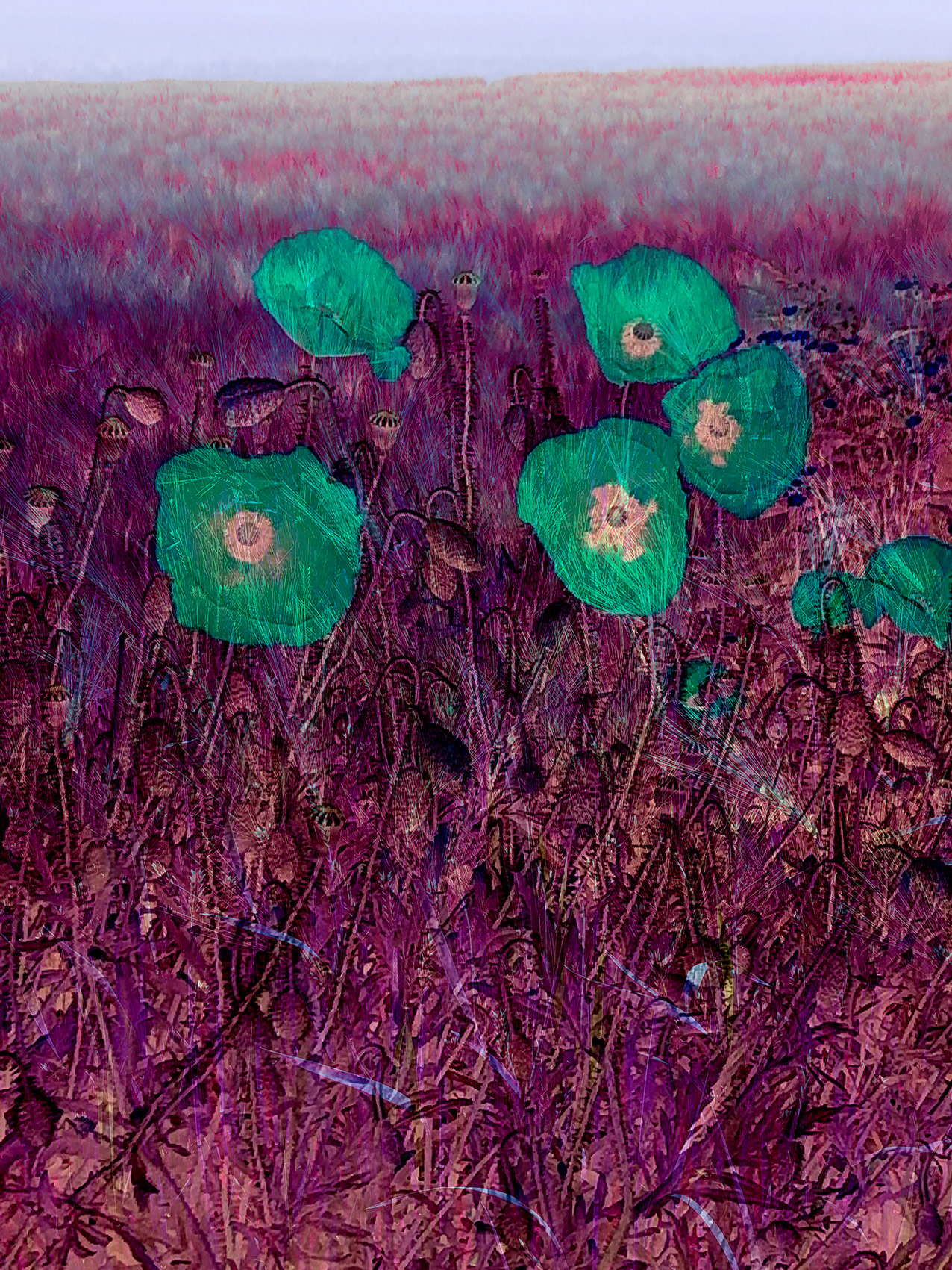 Fields