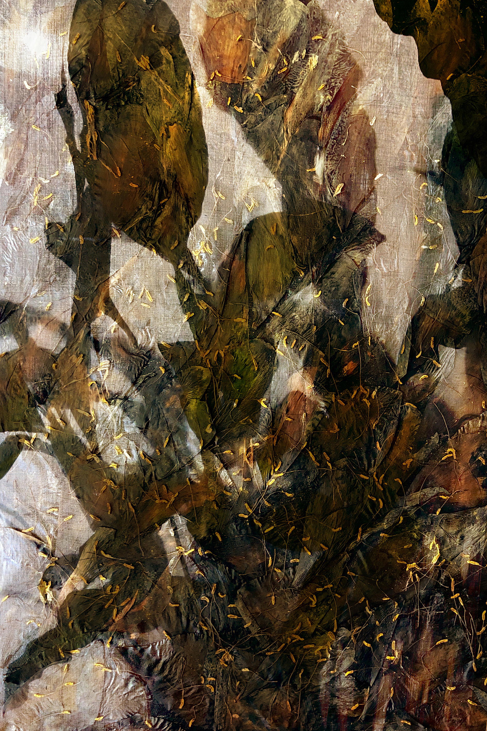 Plants