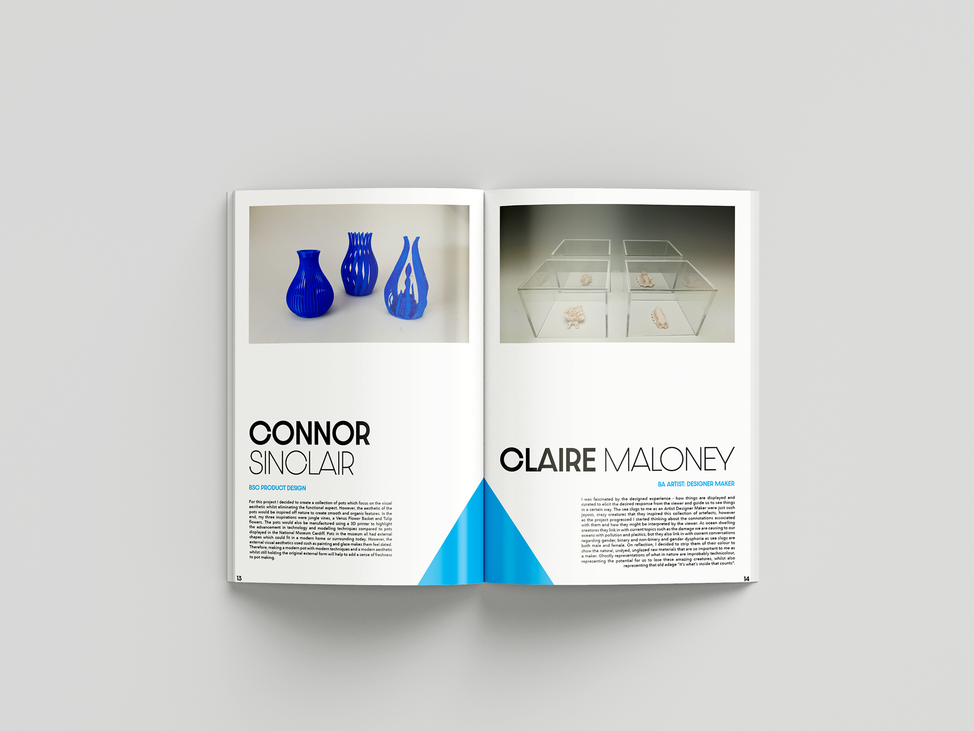 Booklet content design