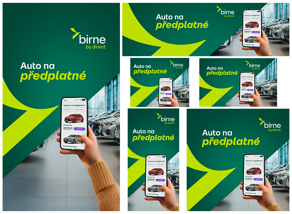 sponzorovaná reklama na sociální sítě pro Birne