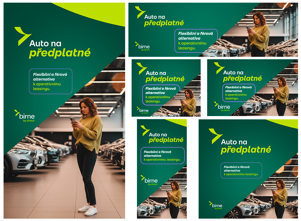 sponzorovaná reklama na sociální sítě pro Birne