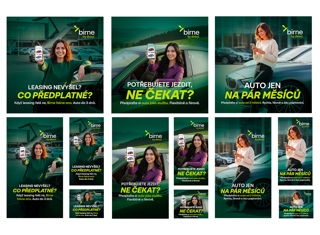 sponzorovaná reklama na sociální sítě pro Birne