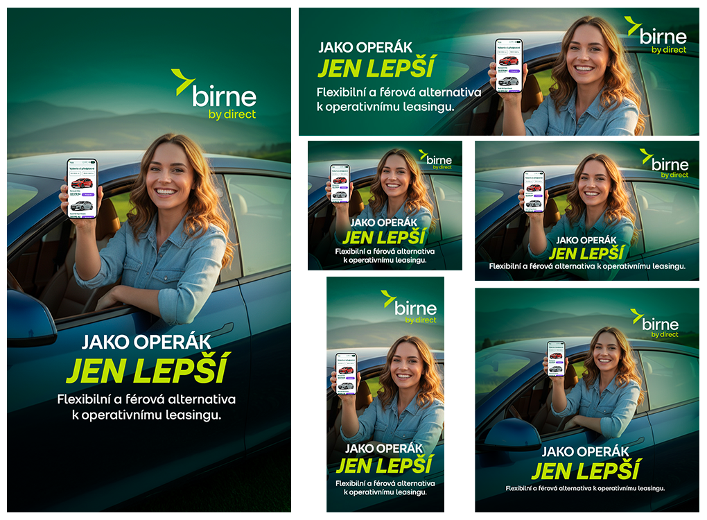 sponzorovaná reklama na sociální sítě pro Birne