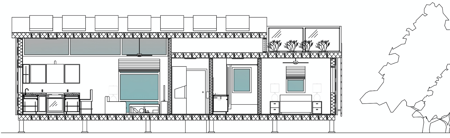 Section Cut