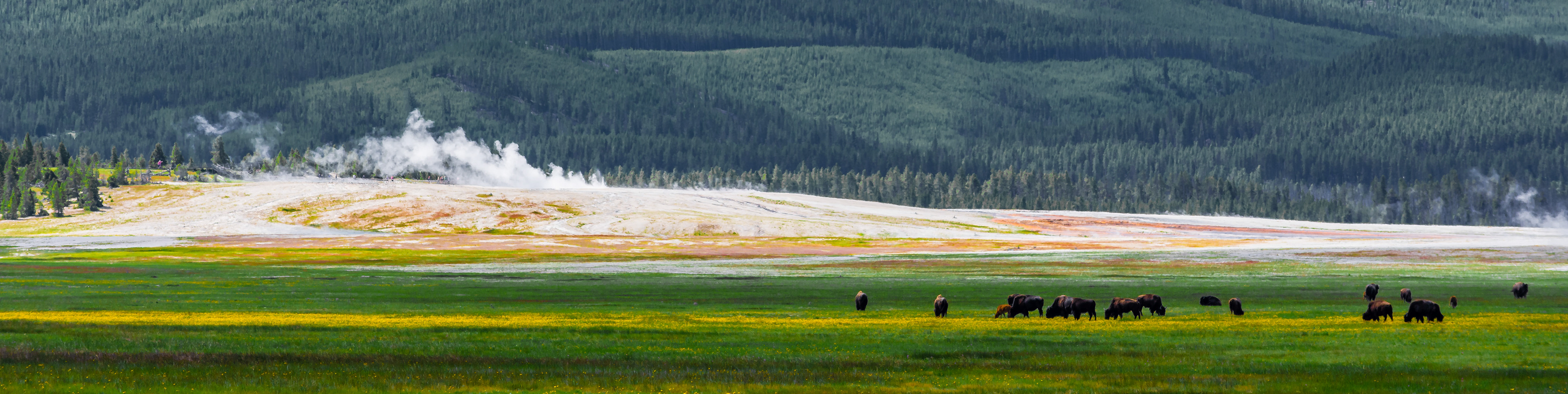 Yellowstone National Park