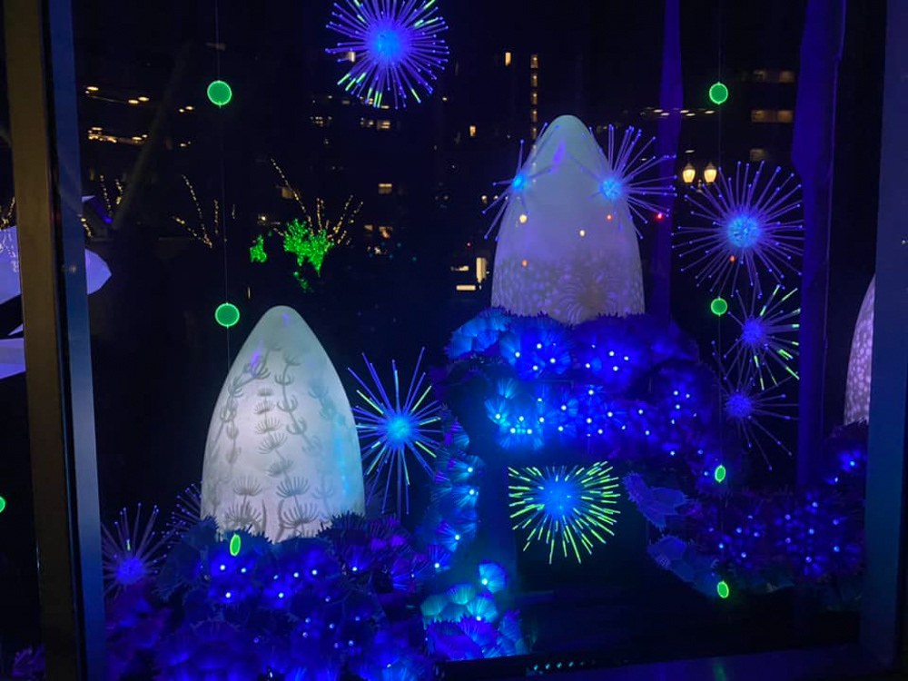 Illuminated art installation in storefront windows. Glowing coral reef with urchins, sea stars and anenomes