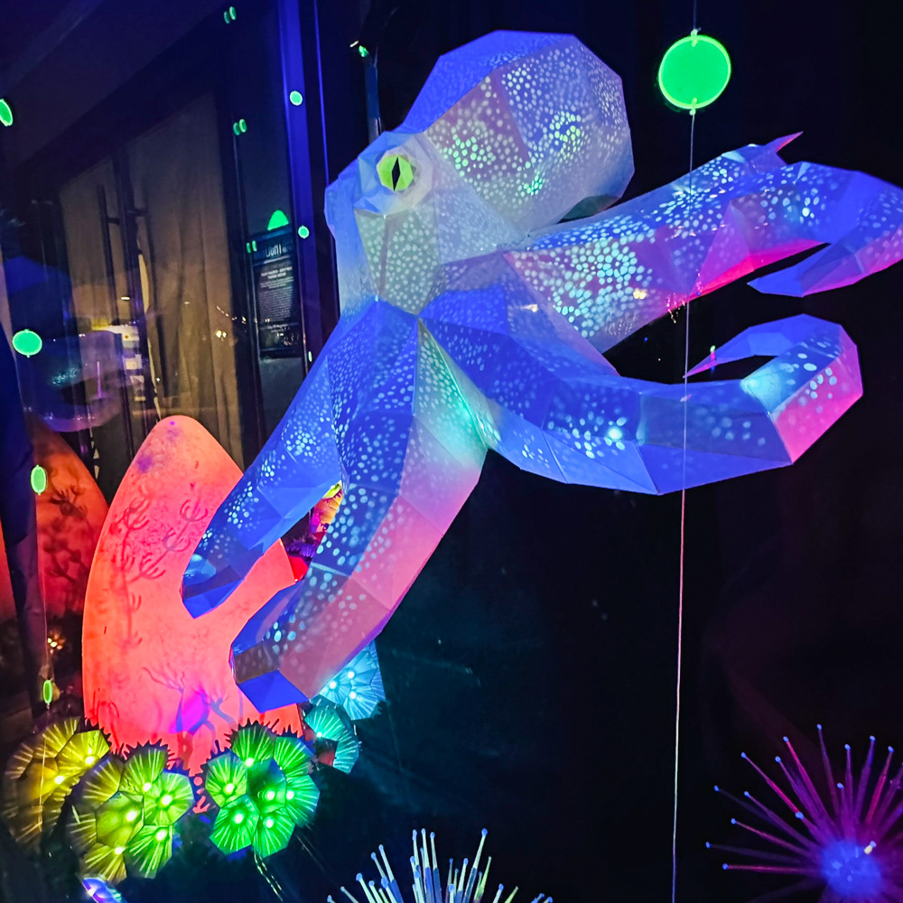 Portland Winter Light Festival