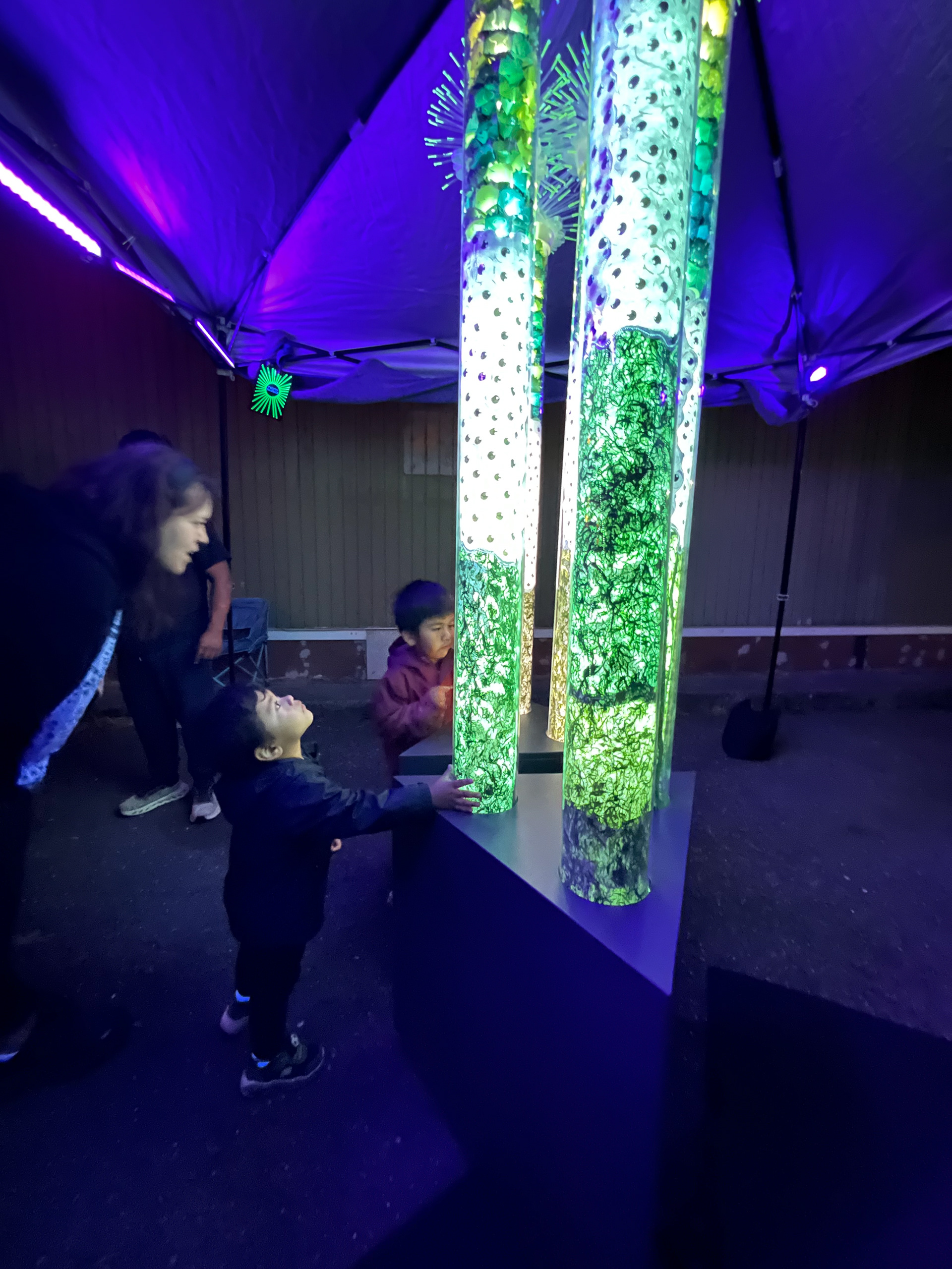 Arts-A-Glow in Burien, WA