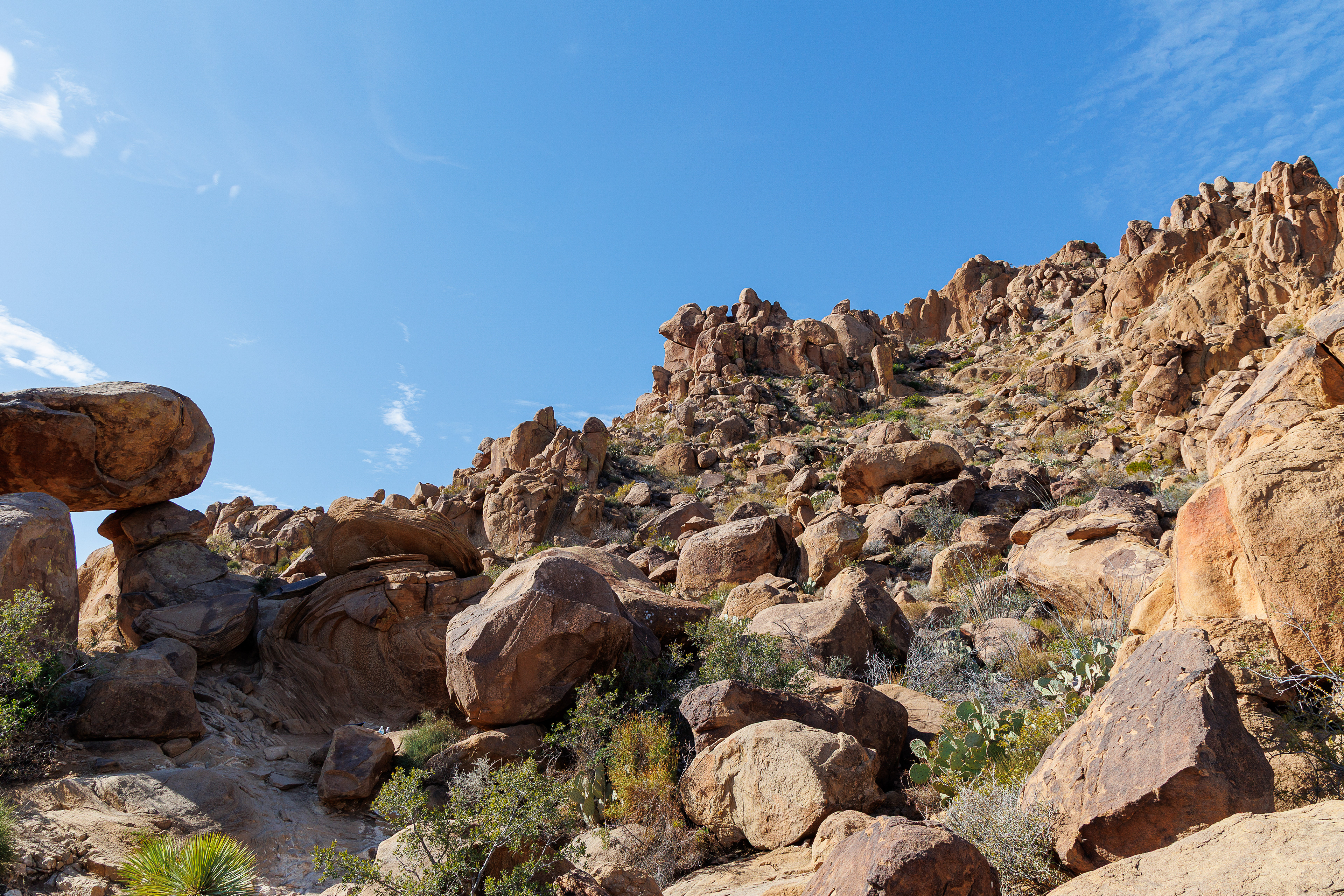 Jackson is climbing way up there somewhere