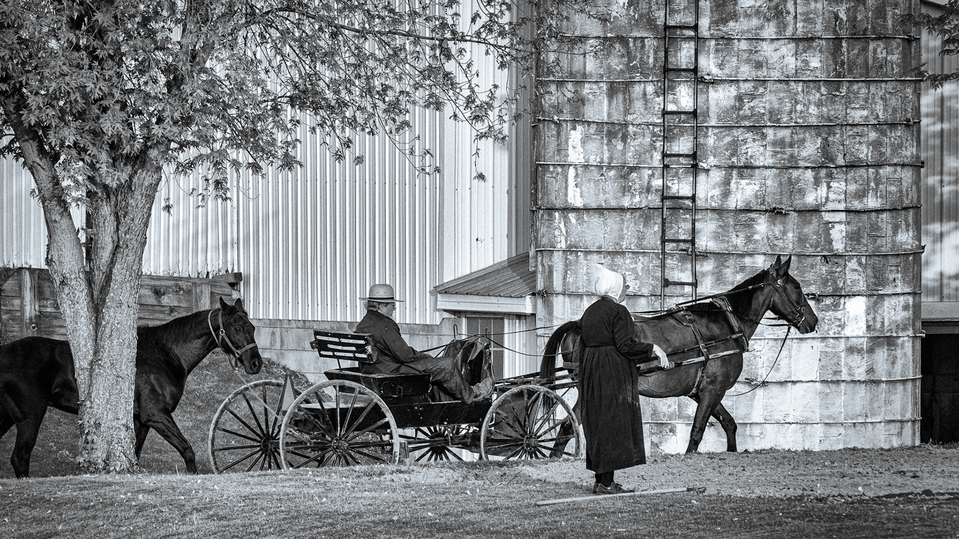 Amish Garden - Slide 5