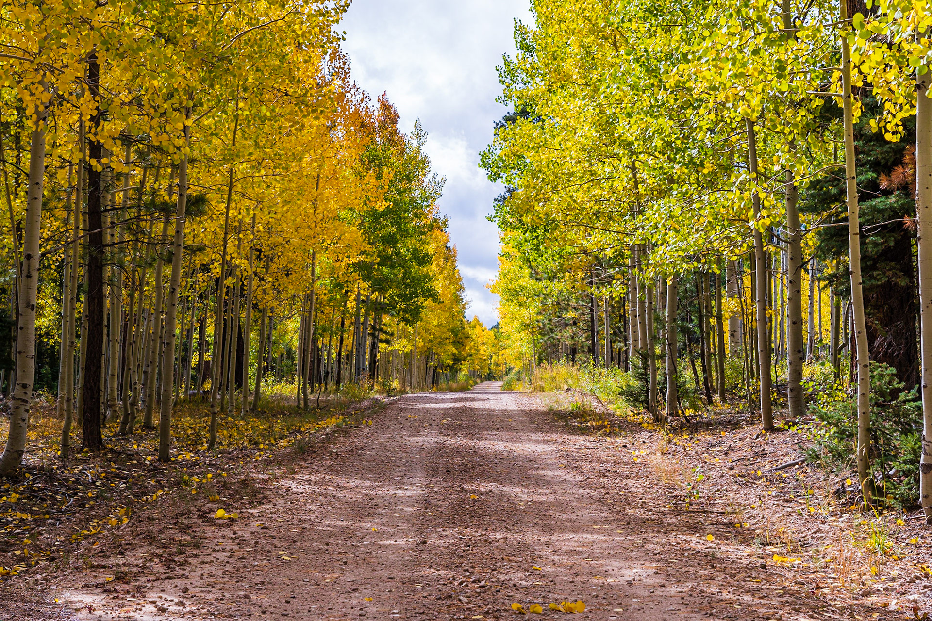 North Rim, Grand Canyon National Park, North Rim, Arizona