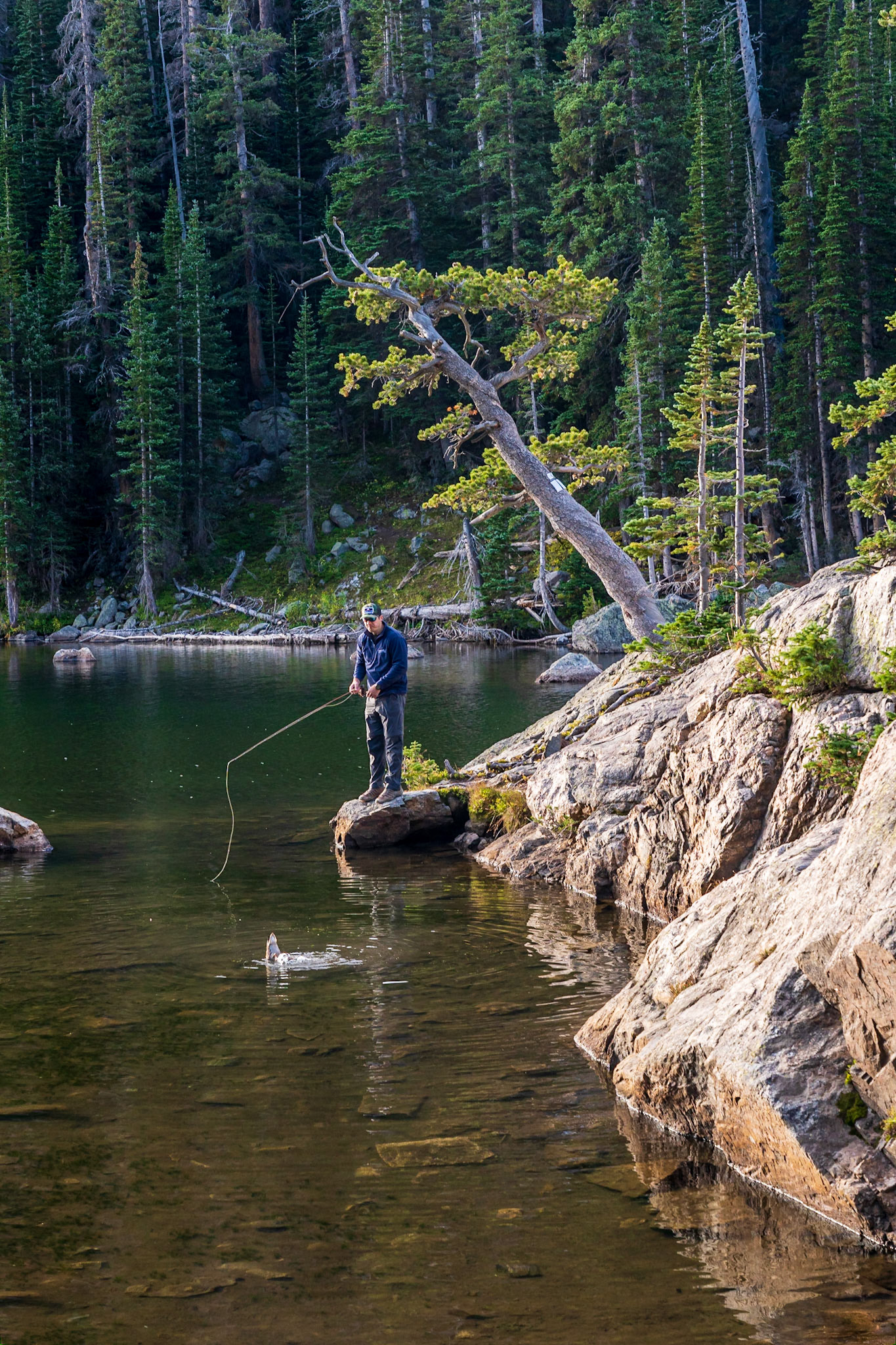 Fly Fishing Dream Lake - Rocky Mountain Park