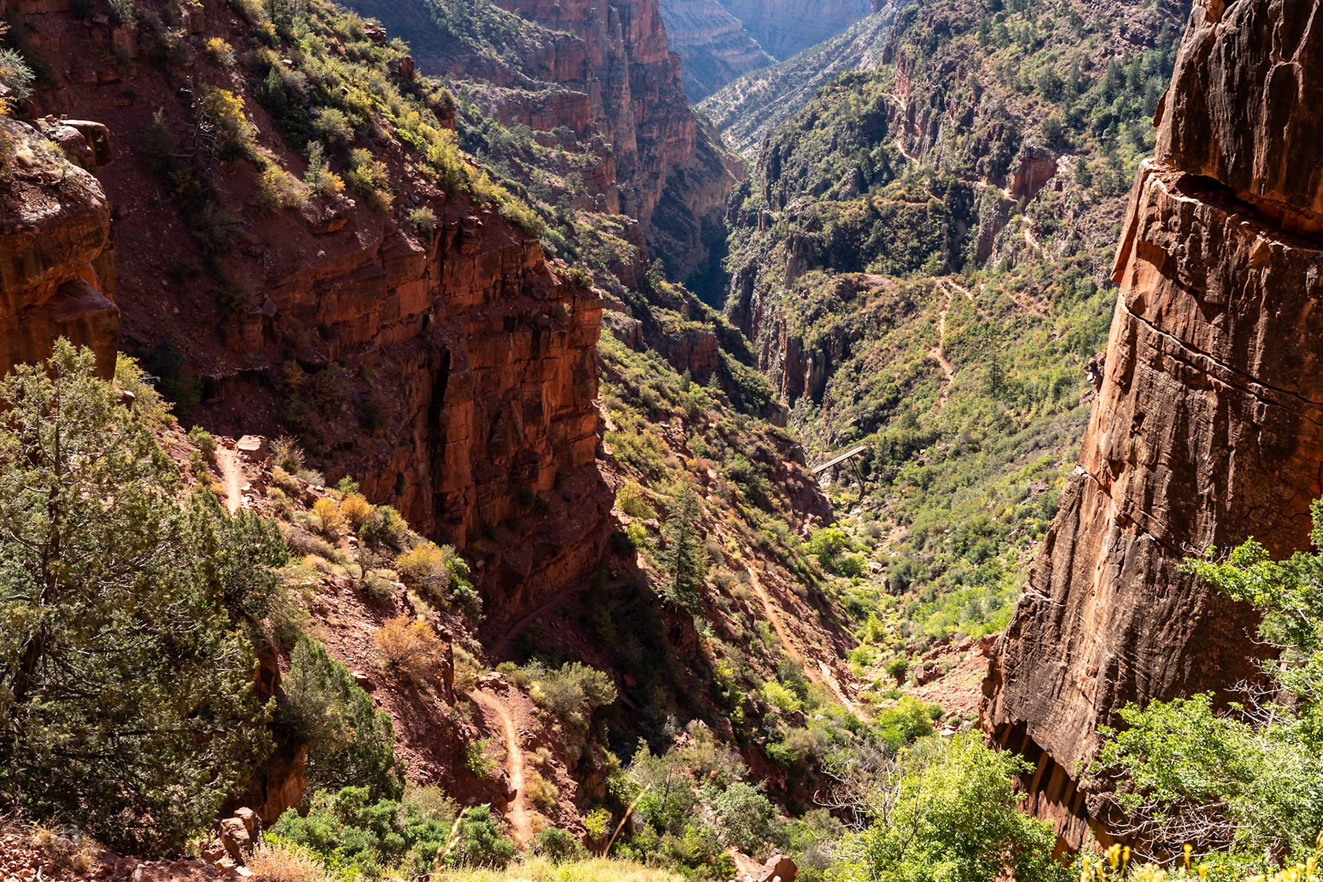 North Rim, Grand Canyon National Park, North Rim, Arizona