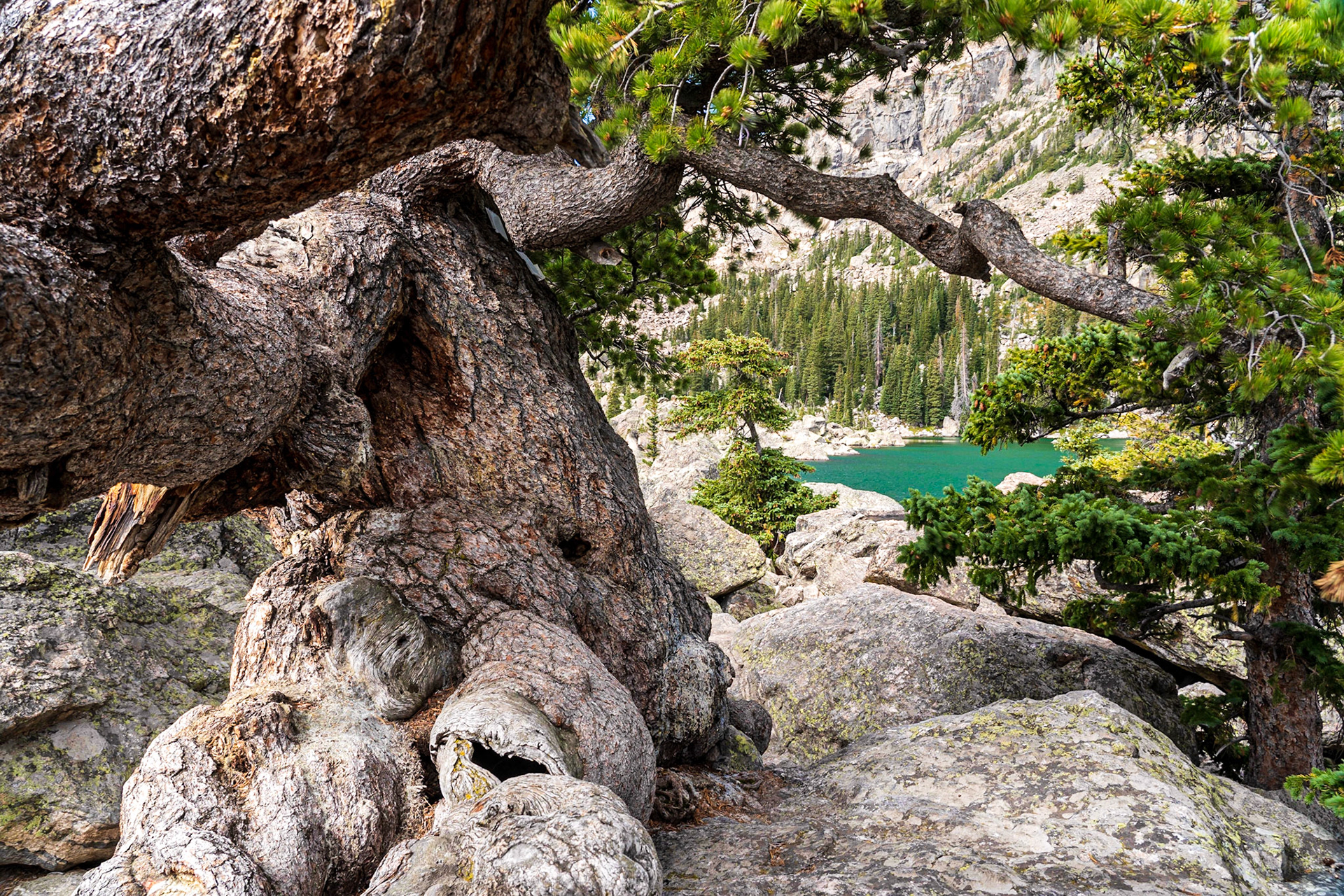Lake Haiyaha - Rocky Mountain National Park