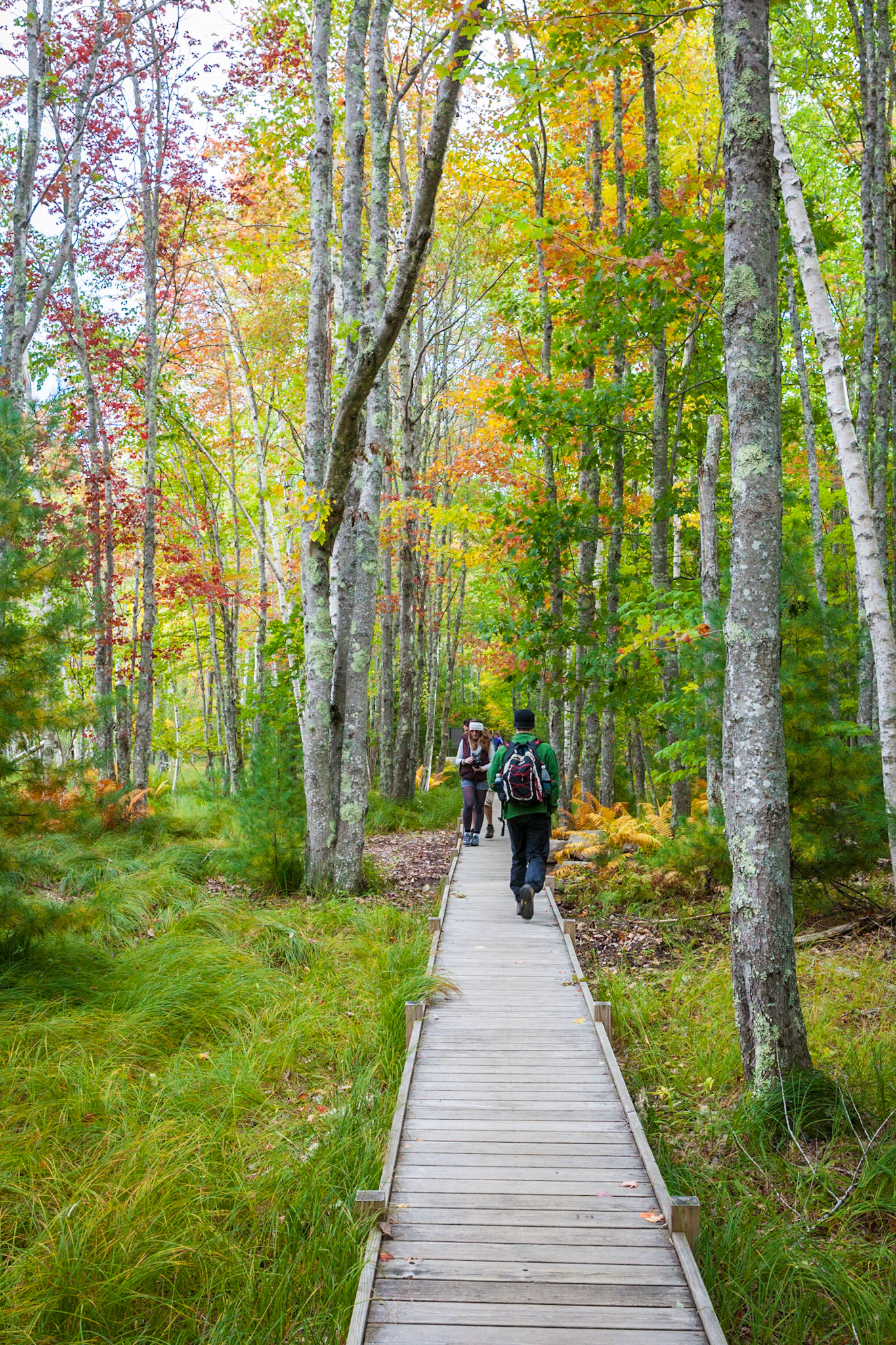Jesup Path - Mt. Desert Island, Maine