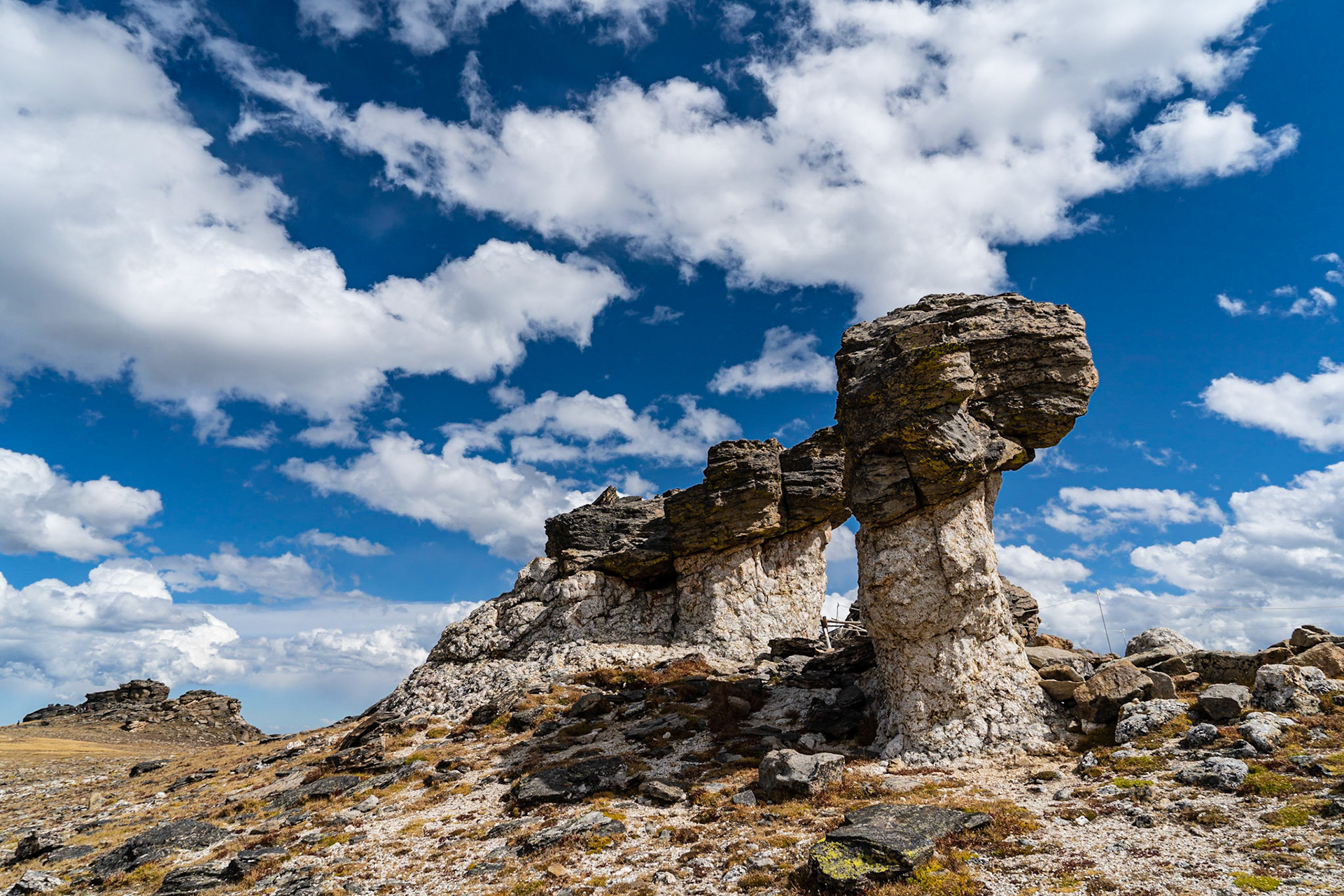 Toll Memorial Trail - Rocky Mountain National Park
