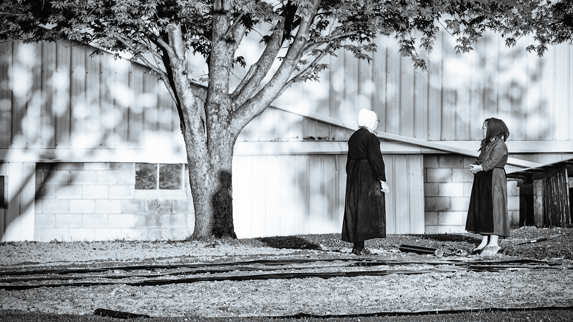 Amish Garden - Slide 6