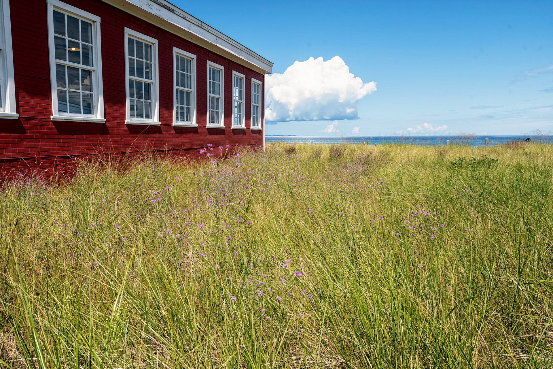 Summer Afternoon
on Lake Michigan