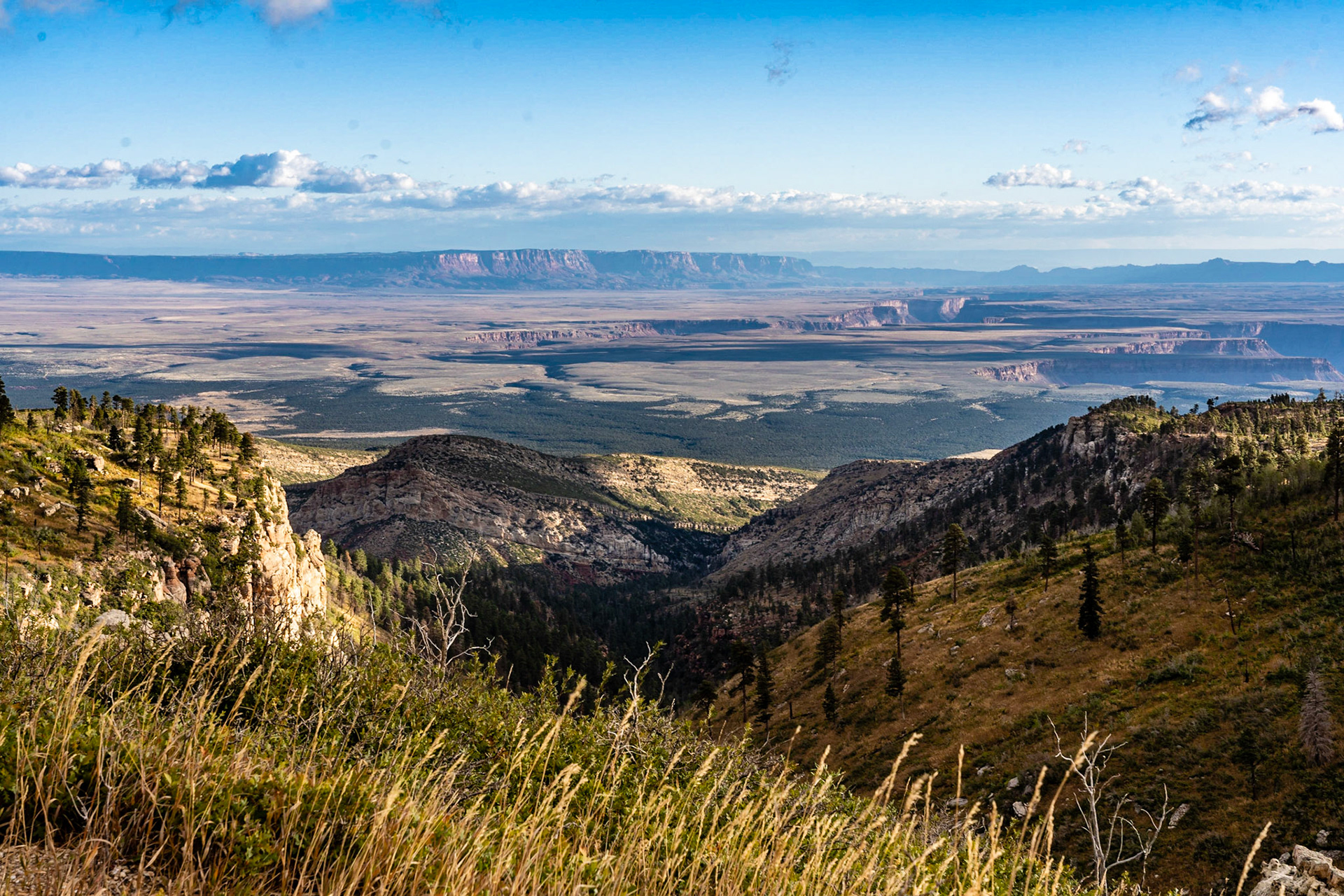North Rim, Grand Canyon National Park, North Rim, Arizona