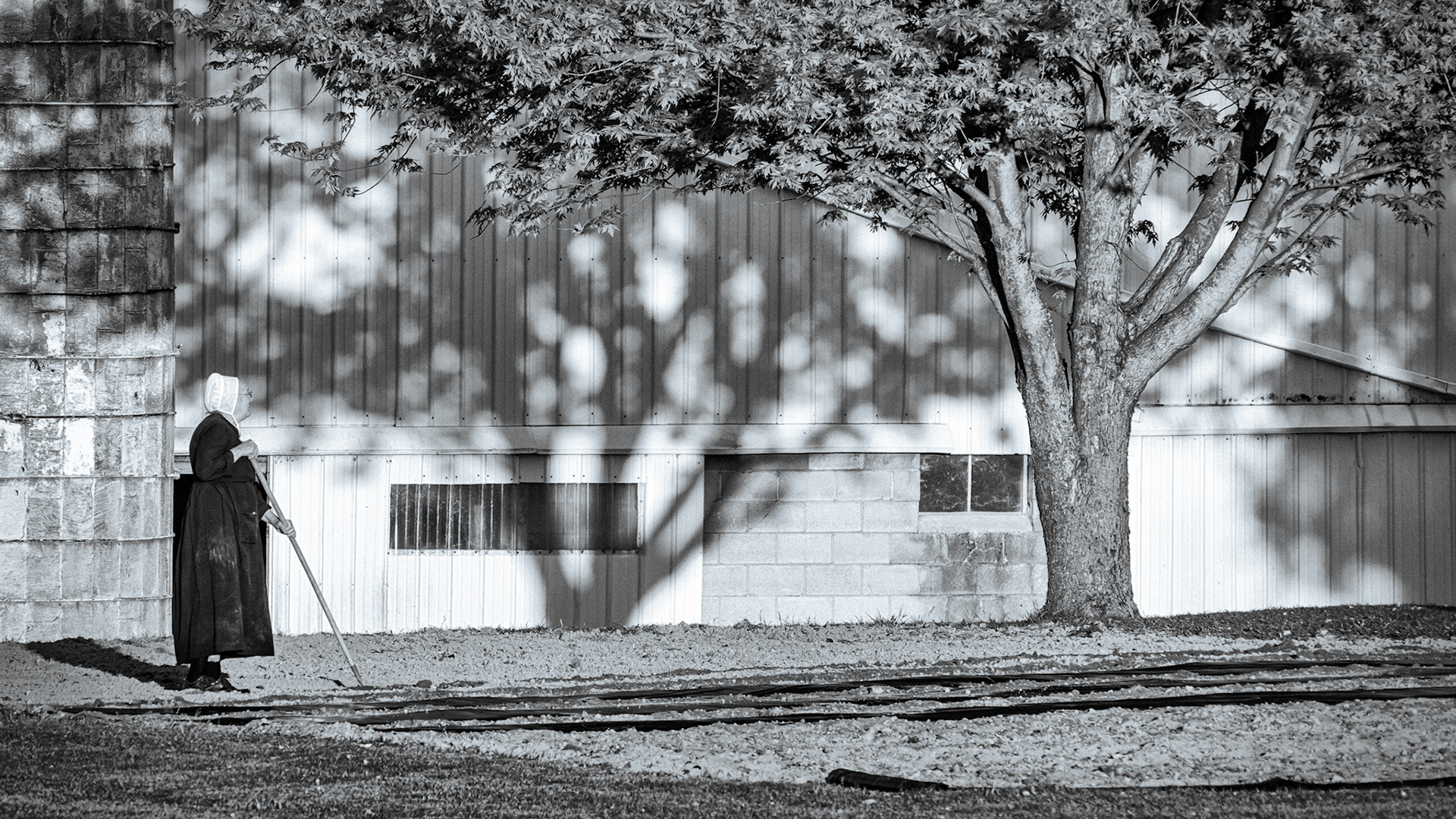 Premonitions of the Past - Slide 1