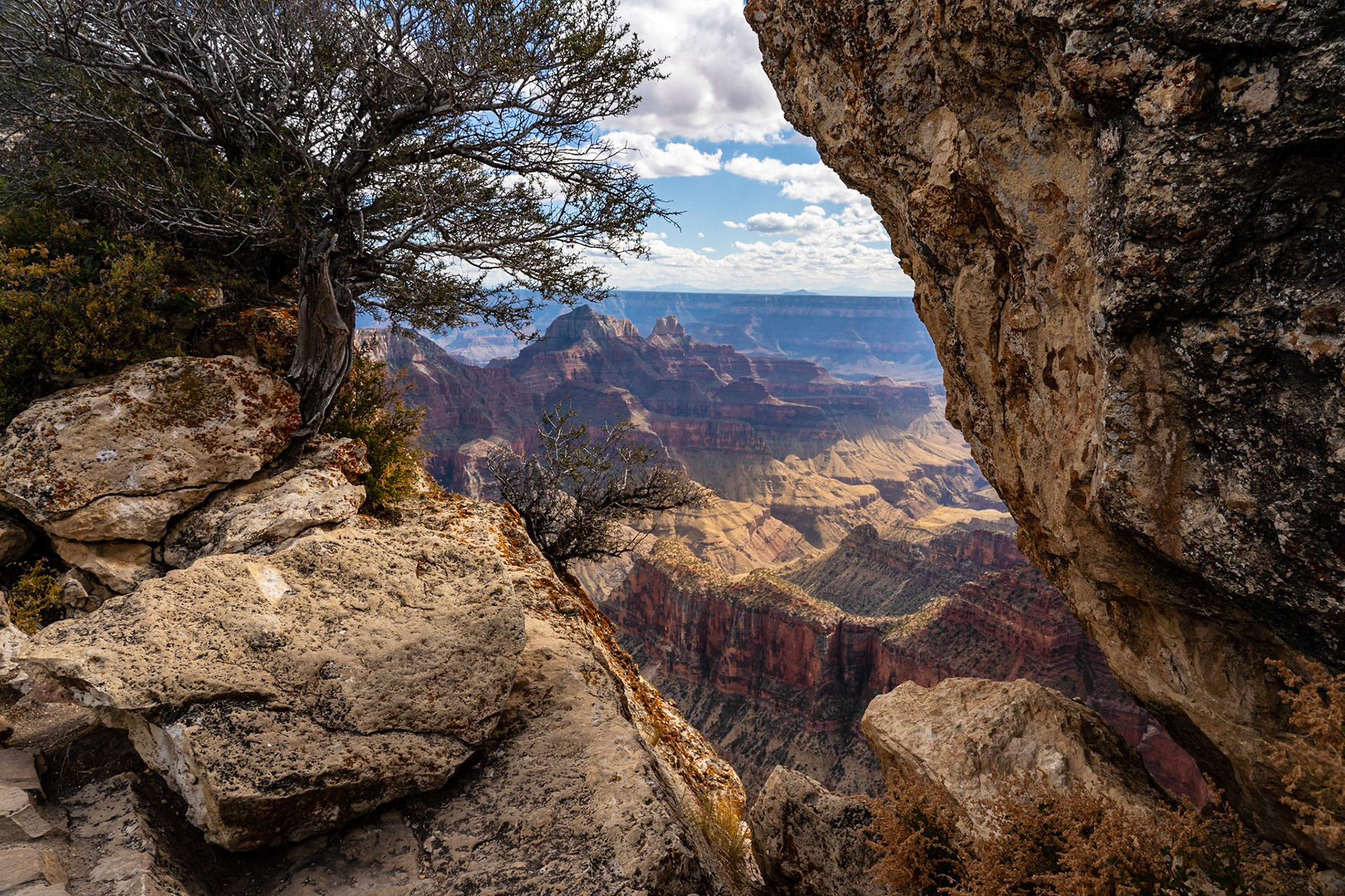 North Rim, Grand Canyon National Park, North Rim, Arizona