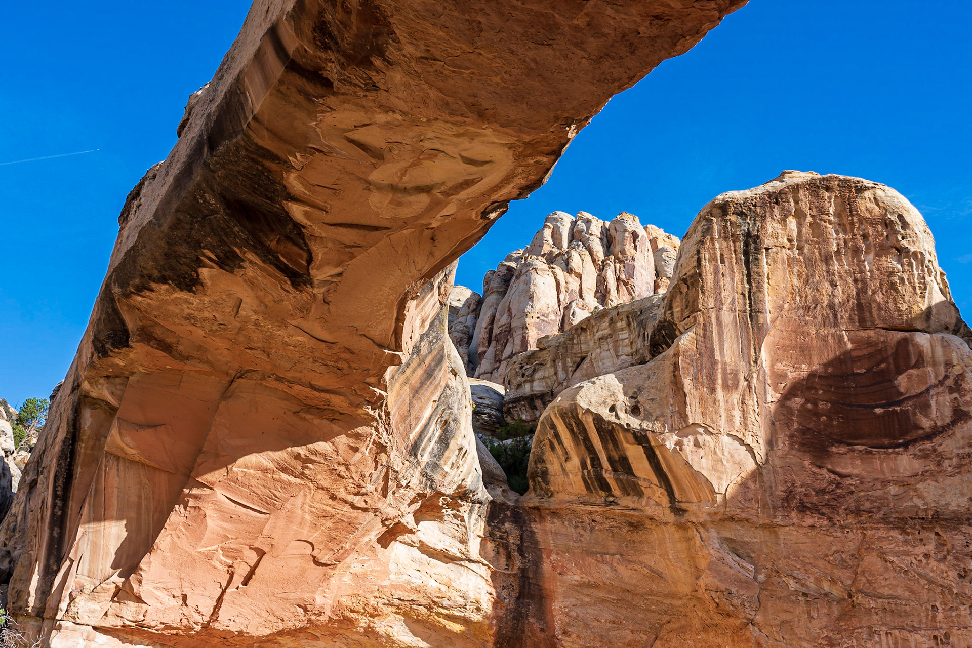Capitol Reef National Park - Utah