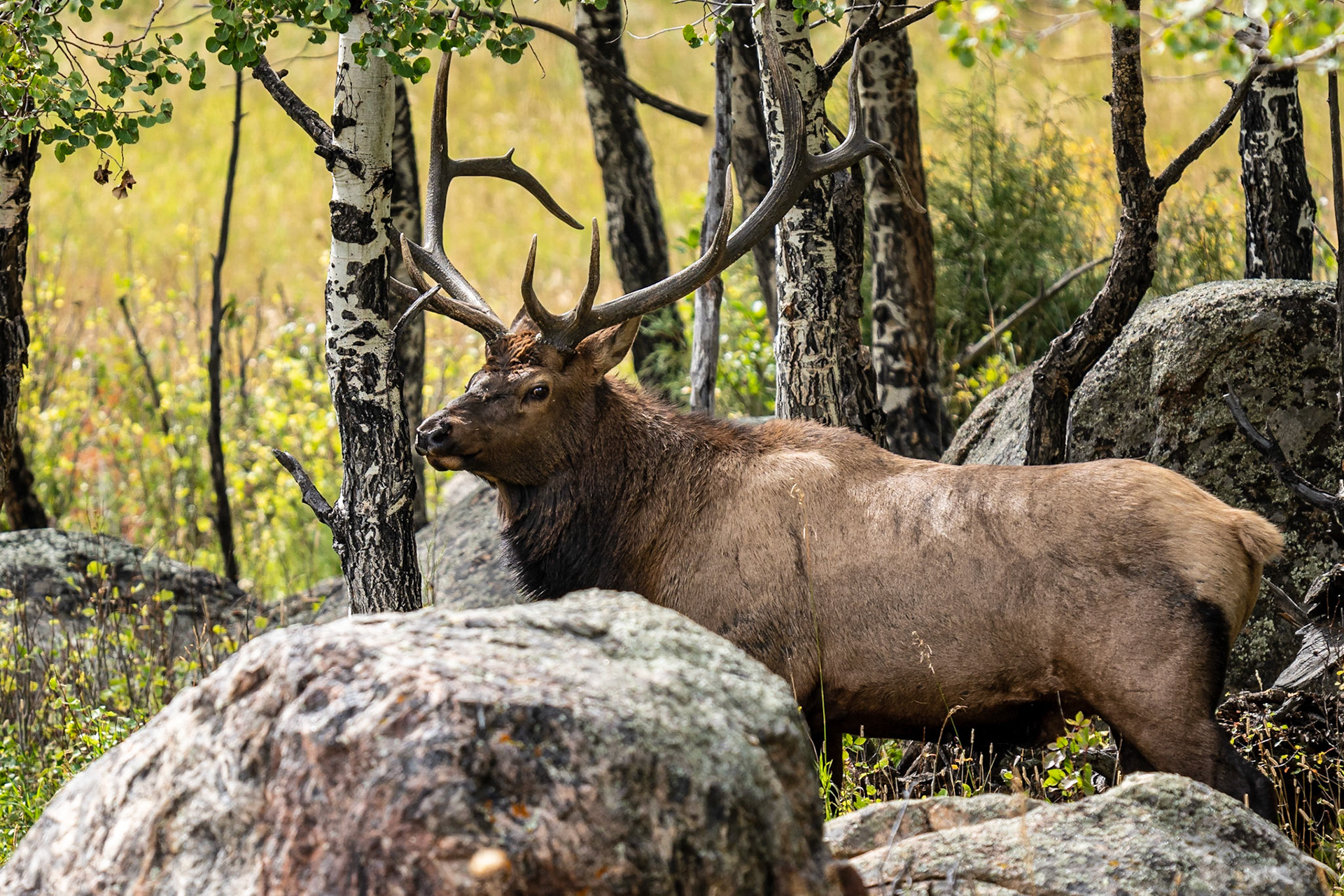 Estes Park - Rocky Mountains