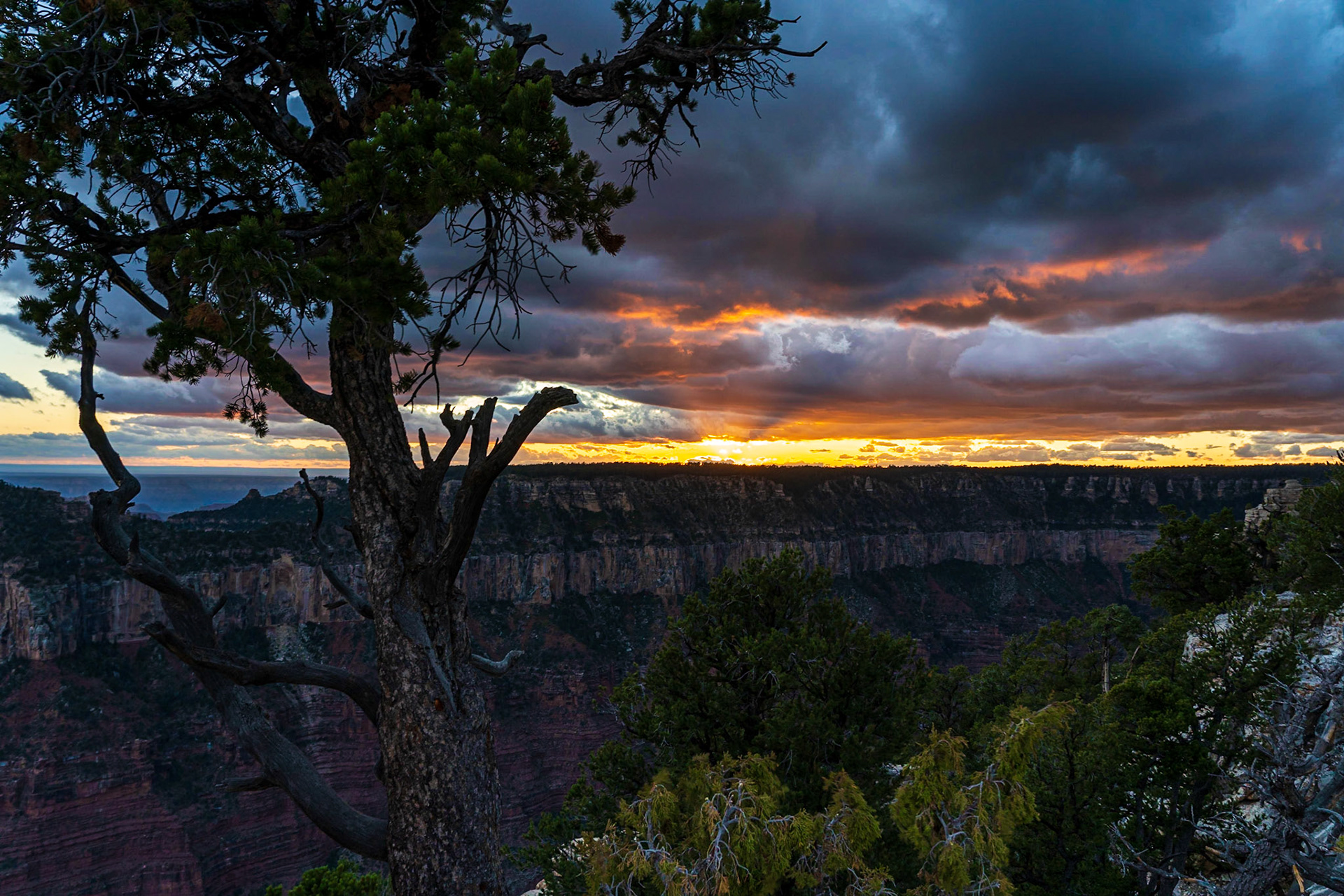North Rim, Grand Canyon National Park, North Rim, Arizona