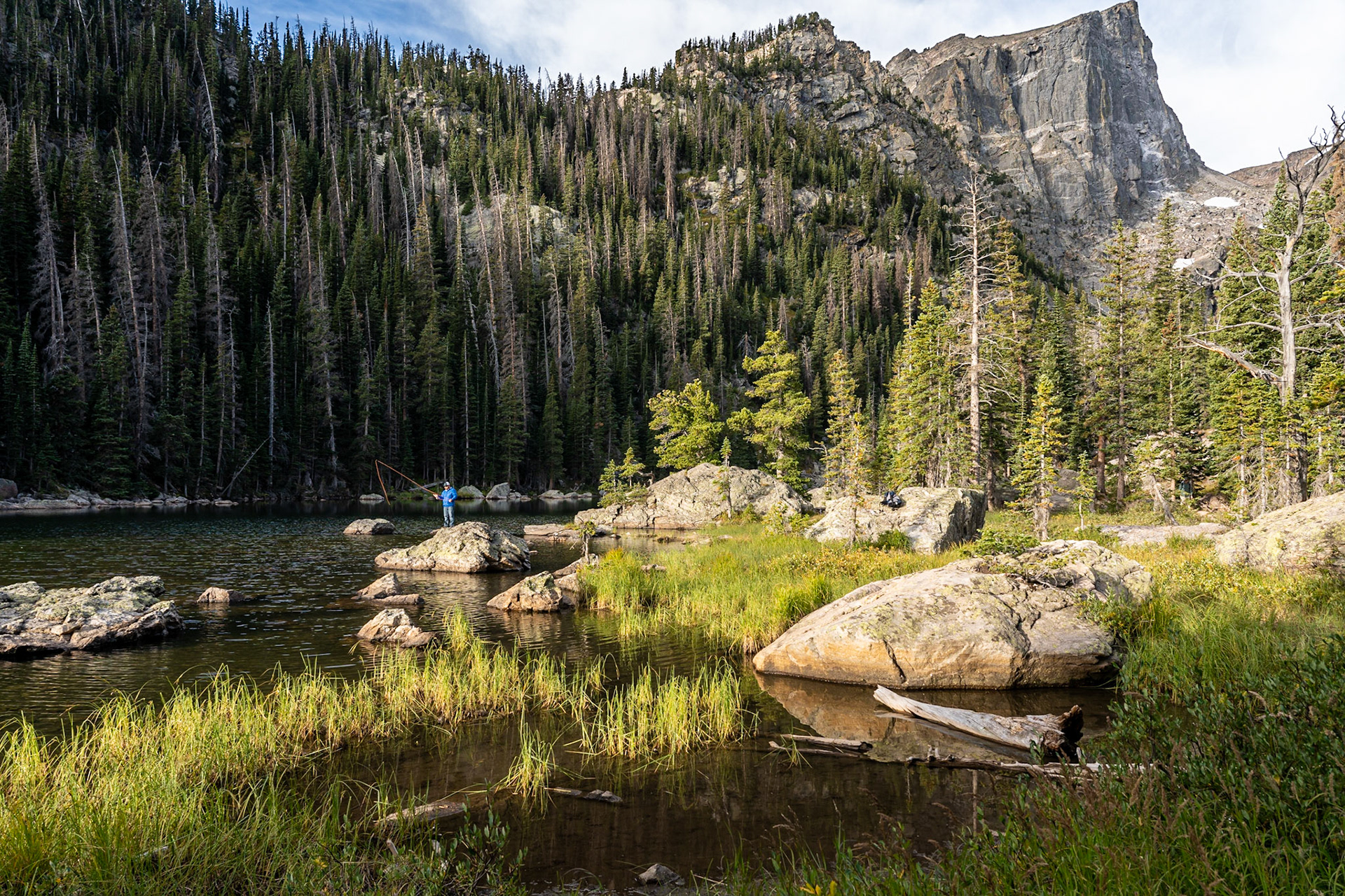 Nymph Lake Trail  - Rocky Mountain National Park