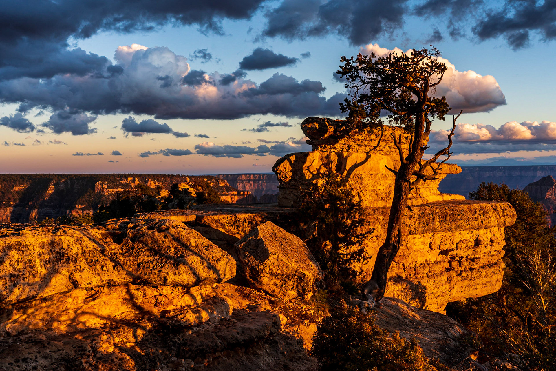 North Rim, Grand Canyon National Park, North Rim, Arizona