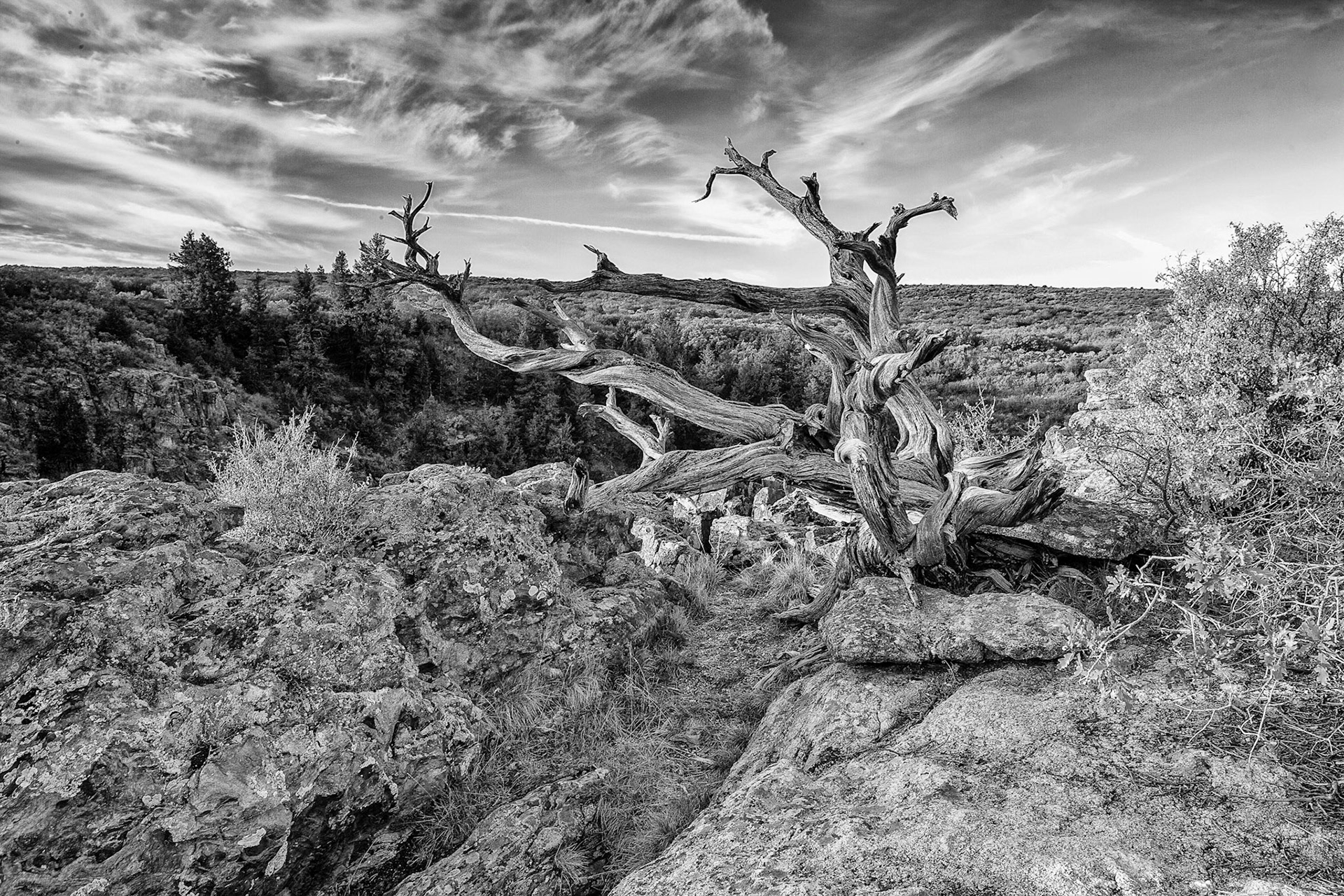 Black Canyon of the Gunnison