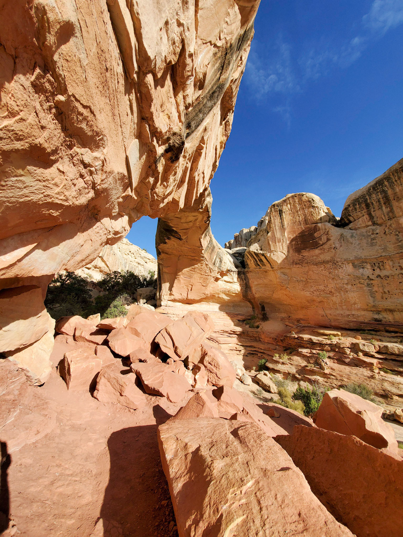 Capitol Reef National Park - Utah