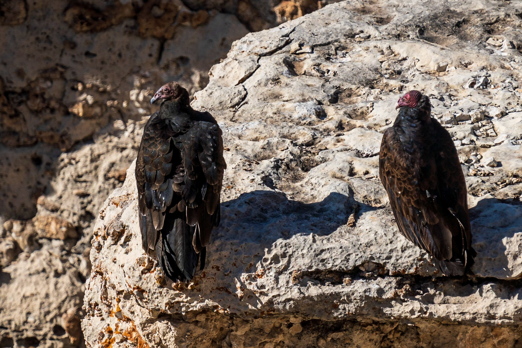 South Rim, Grand Canyon National Park, South Rim, Arizona