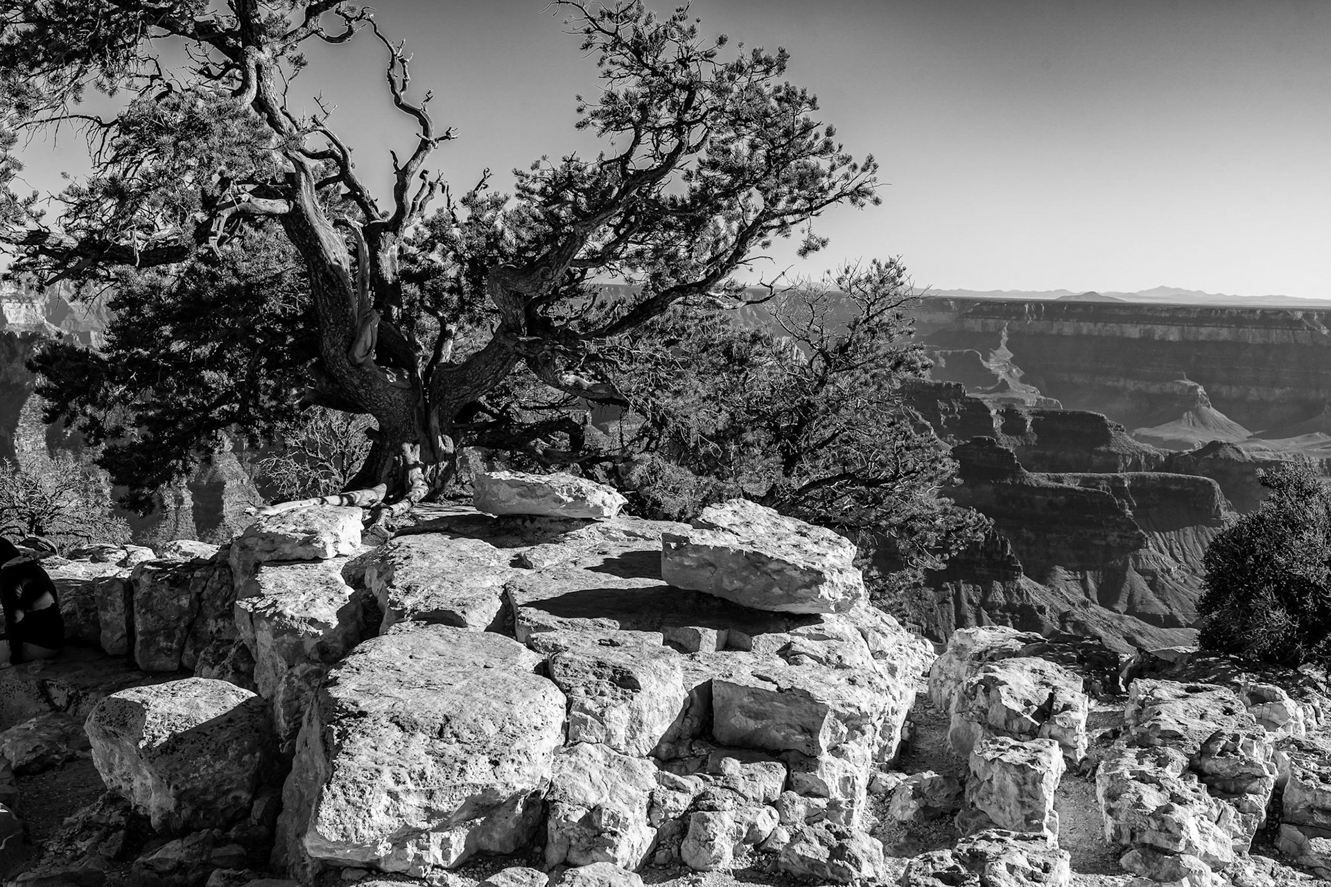 North Rim, Grand Canyon National Park, North Rim, Arizona