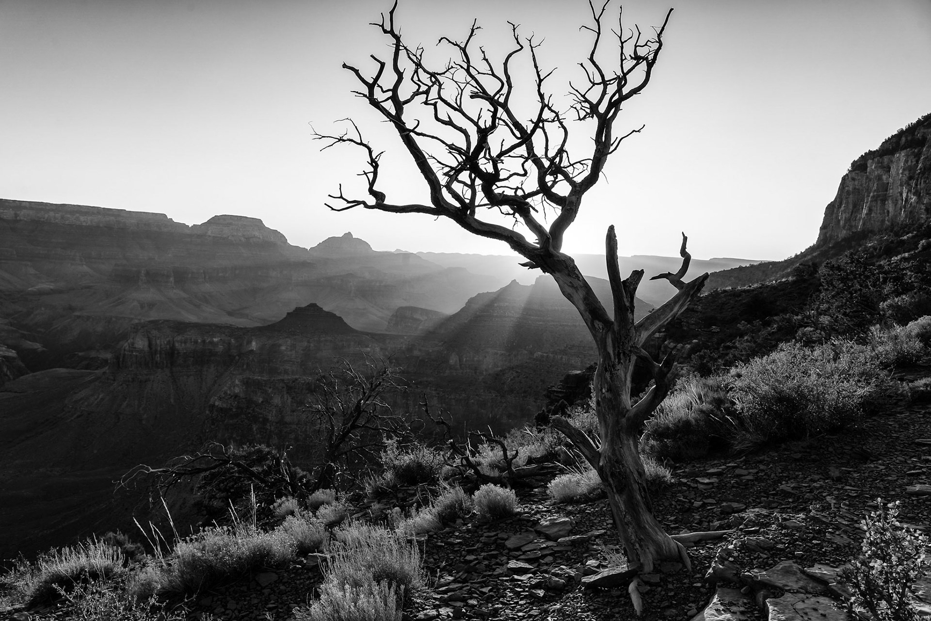 South Rim, Grand Canyon National Park, South Rim, Arizona