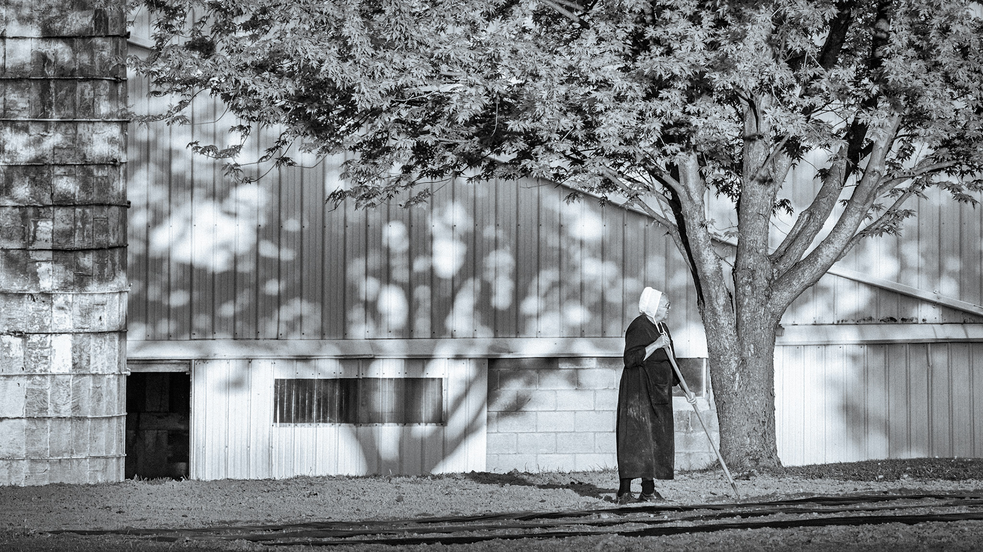 Amish Garden - Slide 2