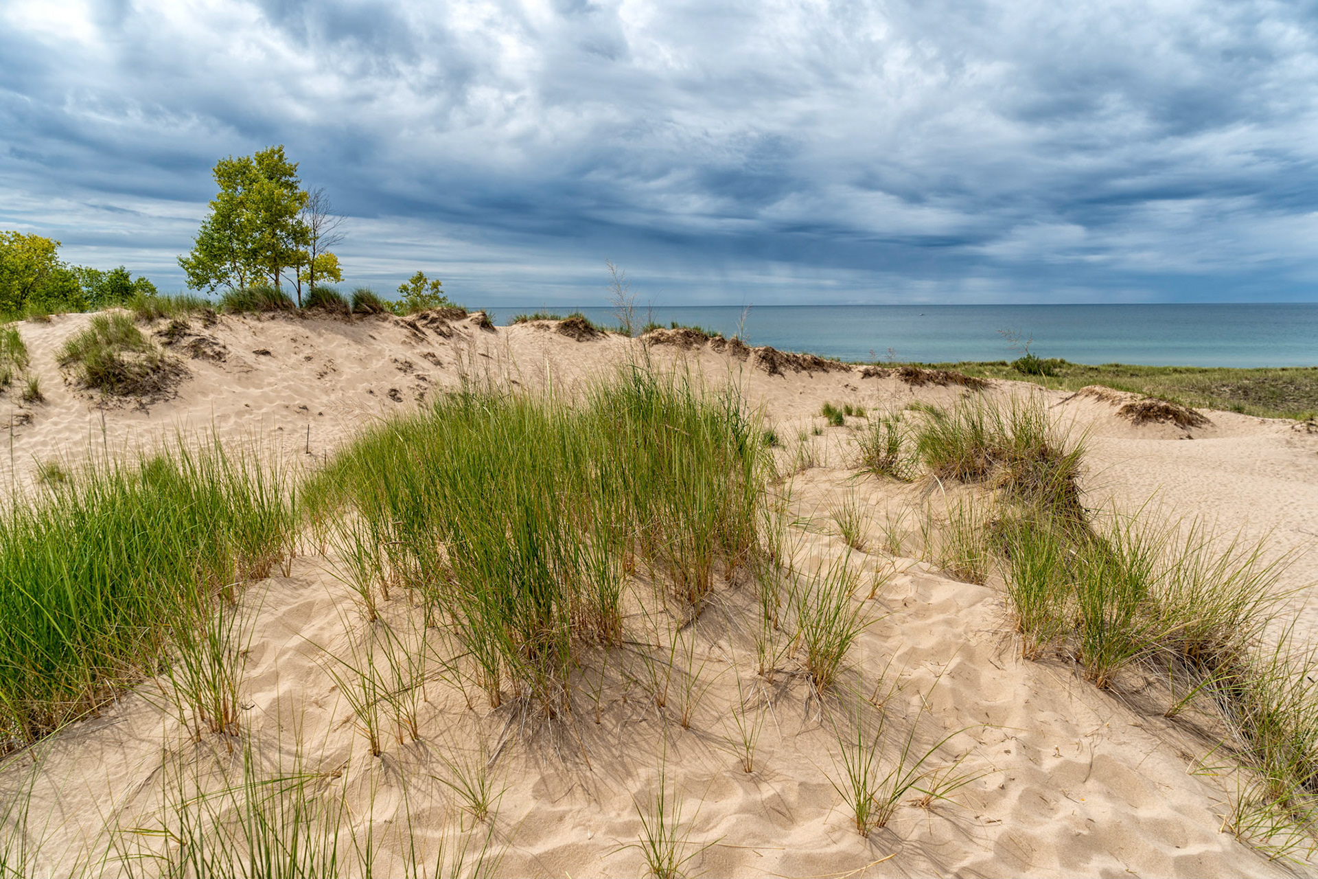 Ludington State Park