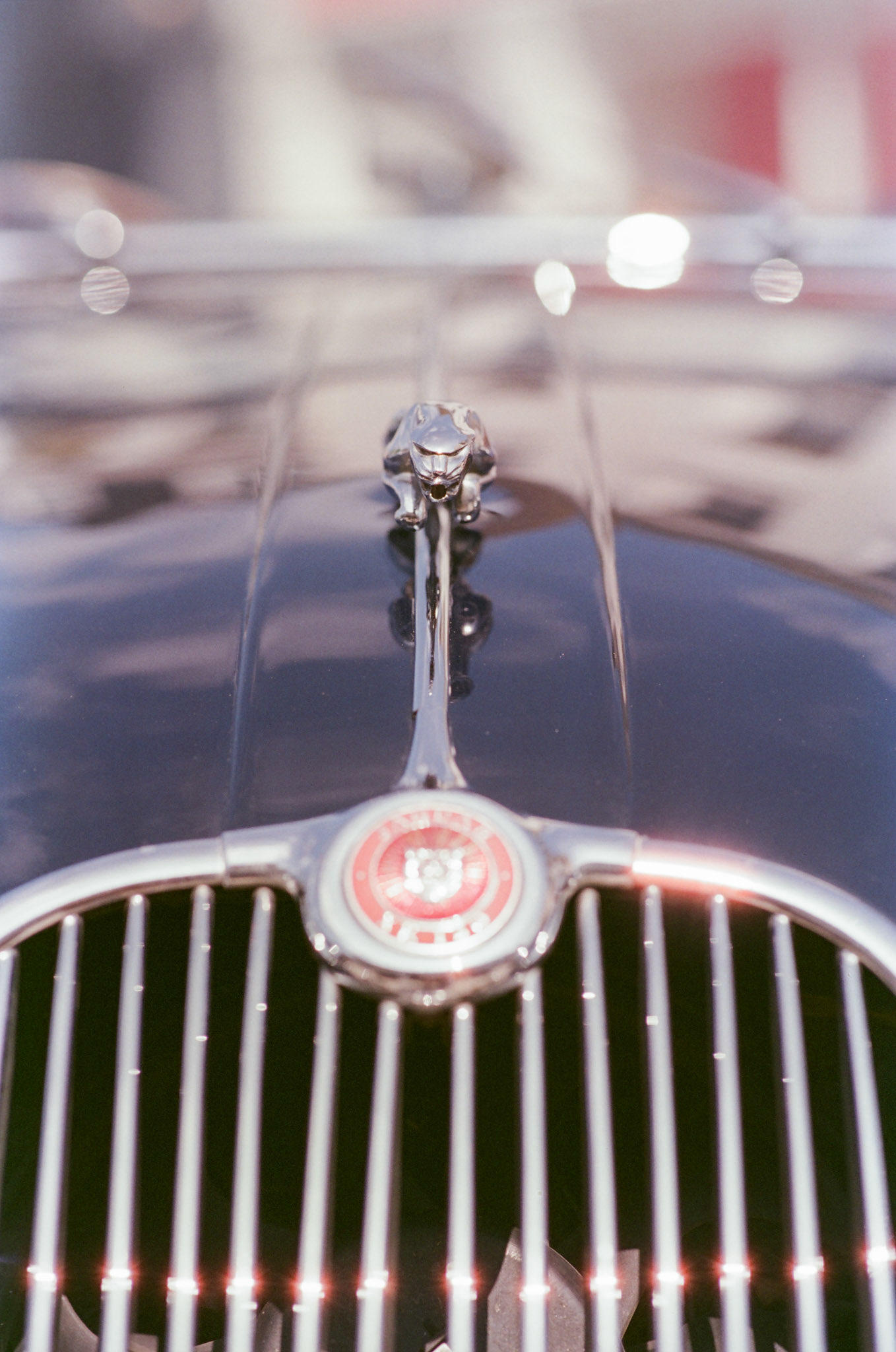 Canon EOS 1N | π Gold 200