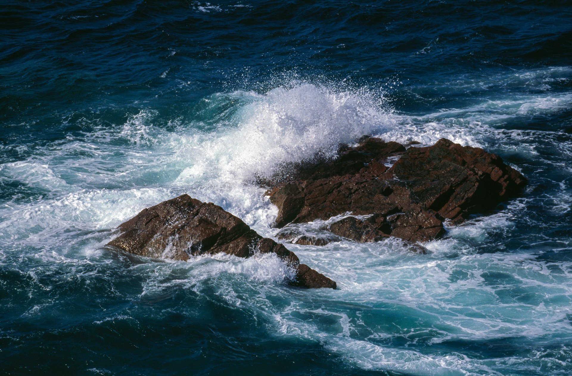 Canon EOS 1N | π Ektachrome 100