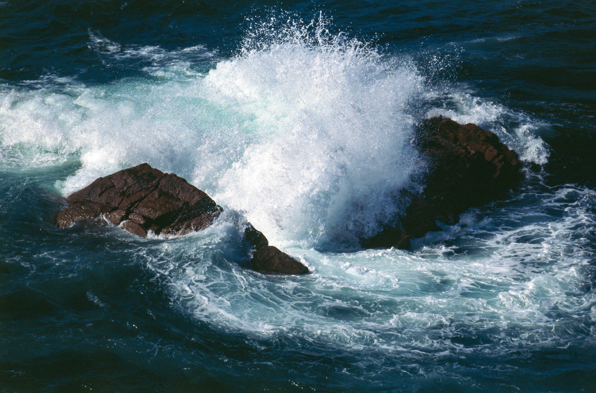 Canon EOS 1N | π Ektachrome 100