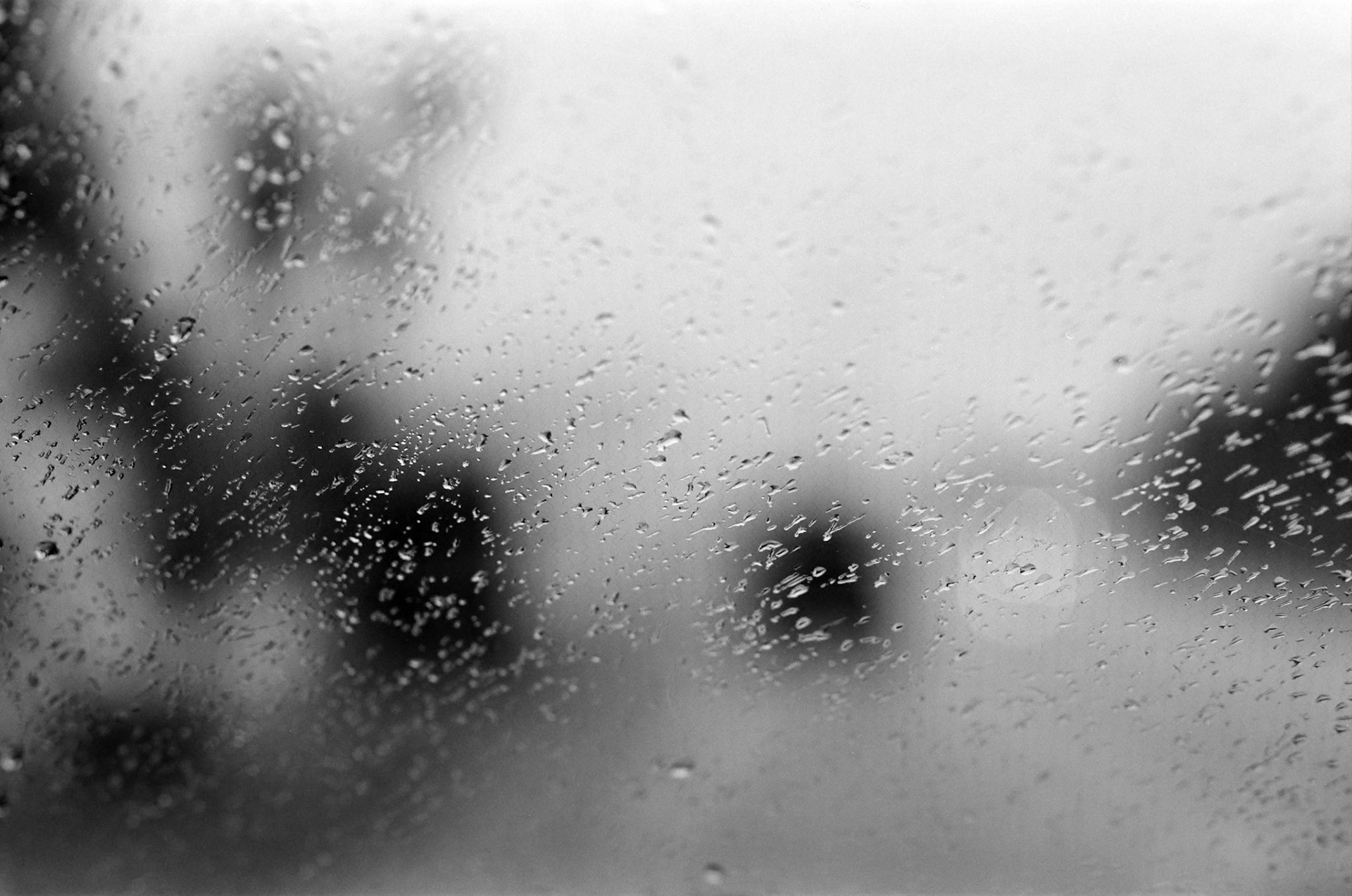 Canon EOS 1N | π FP4