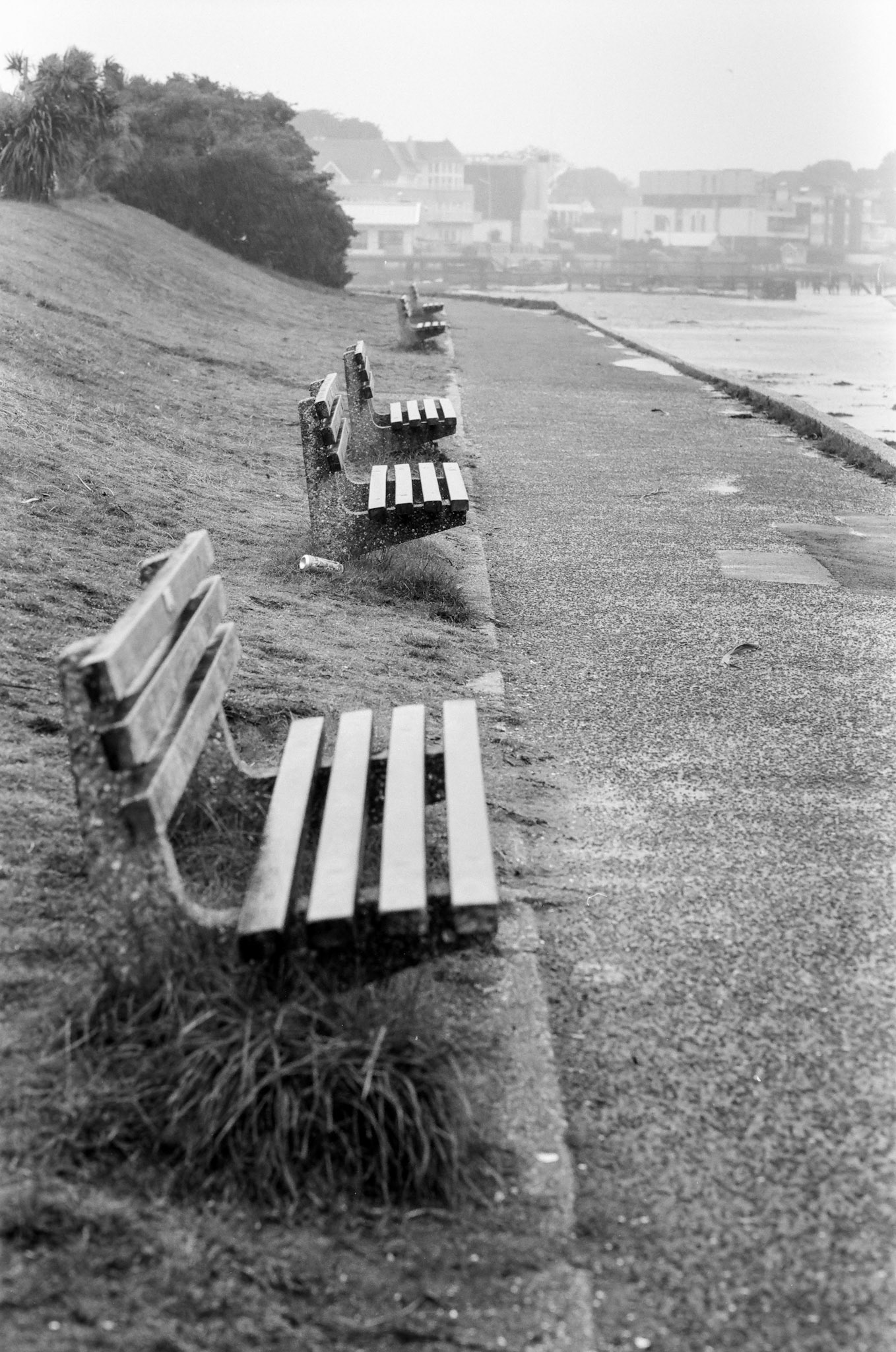 Canon EOS 1N | π FP4