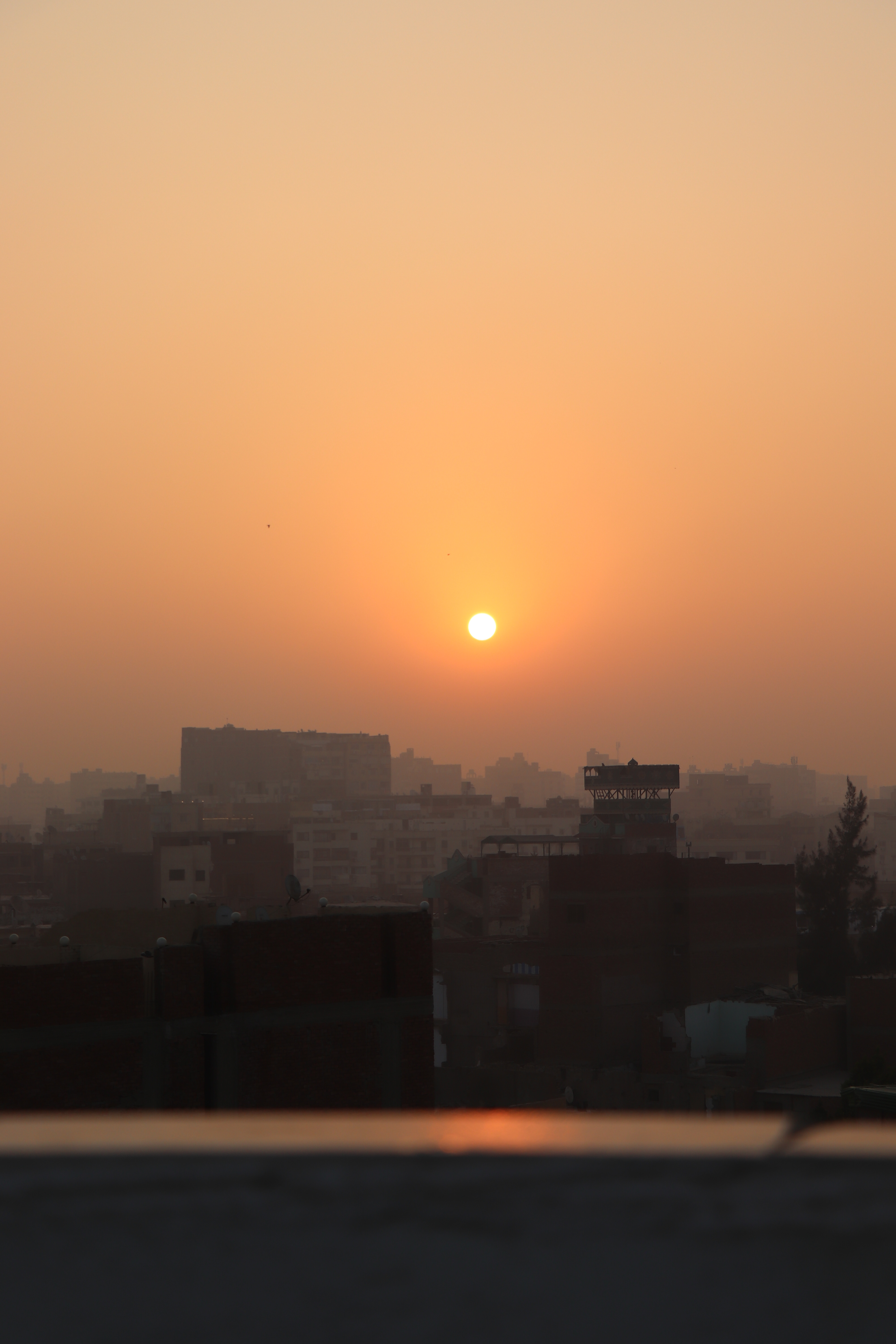 Giza, Egypt - January 30, 2025