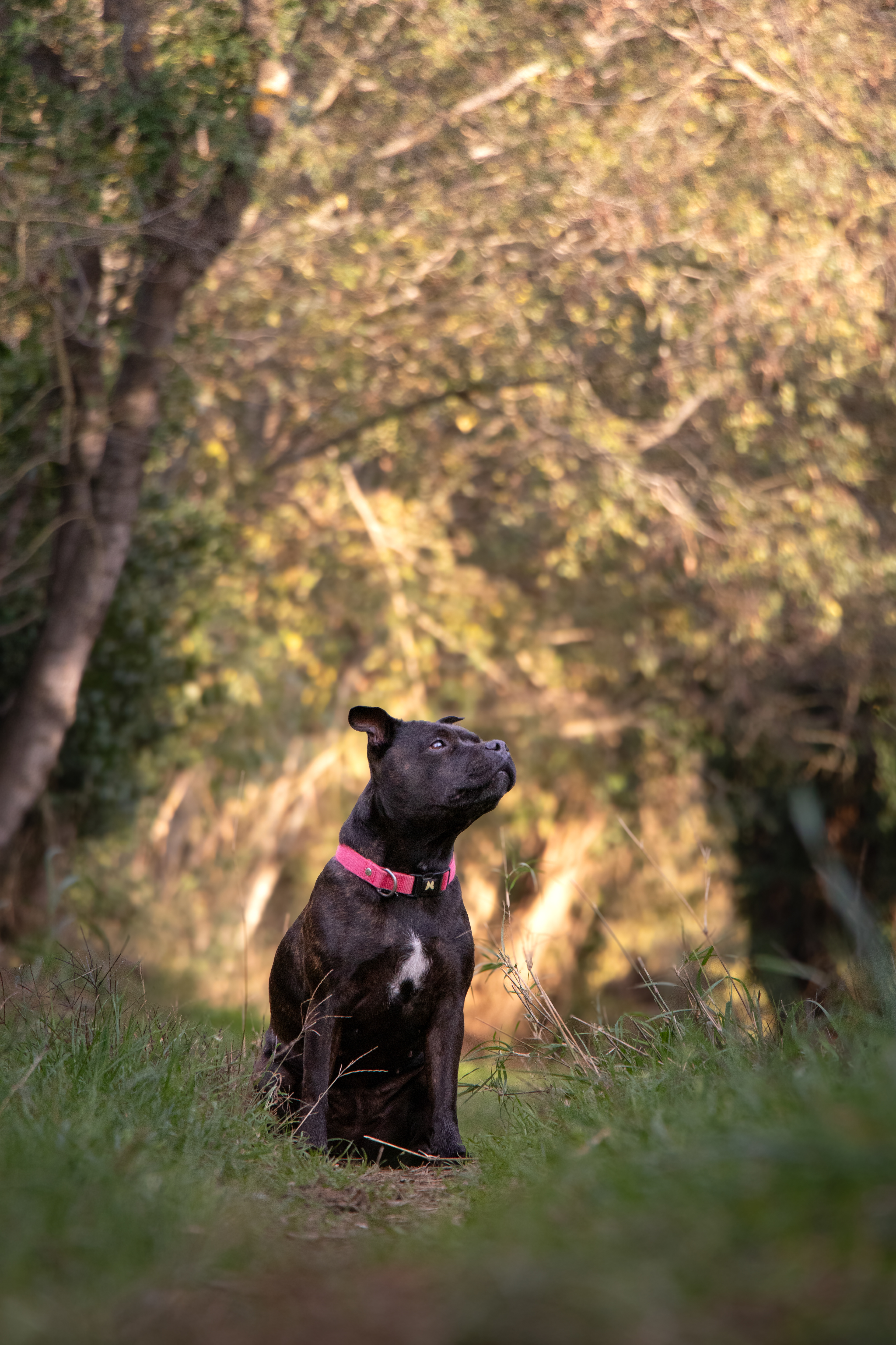 Oxia - November 11, 2025