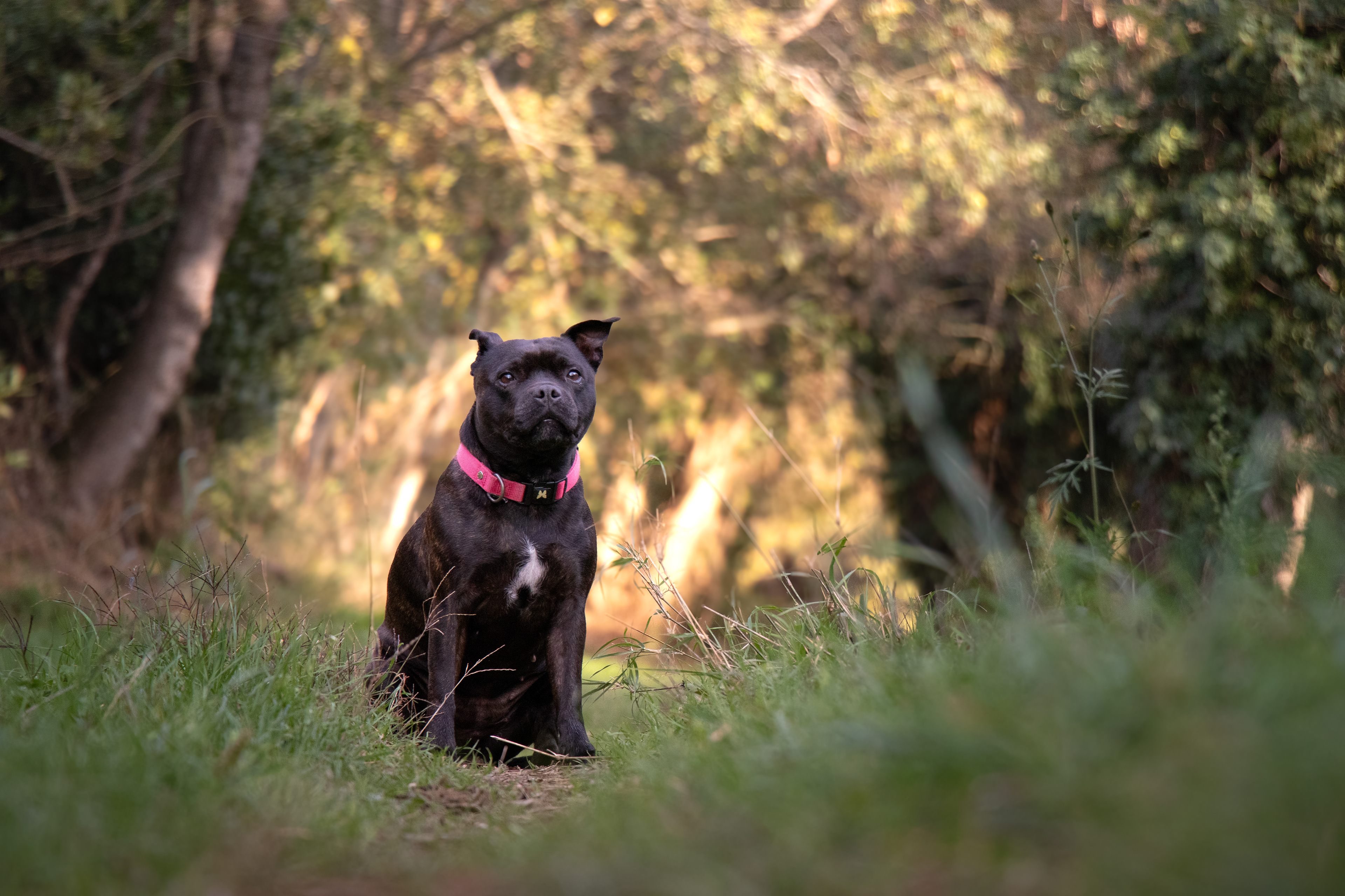 Oxia - November 11, 2025