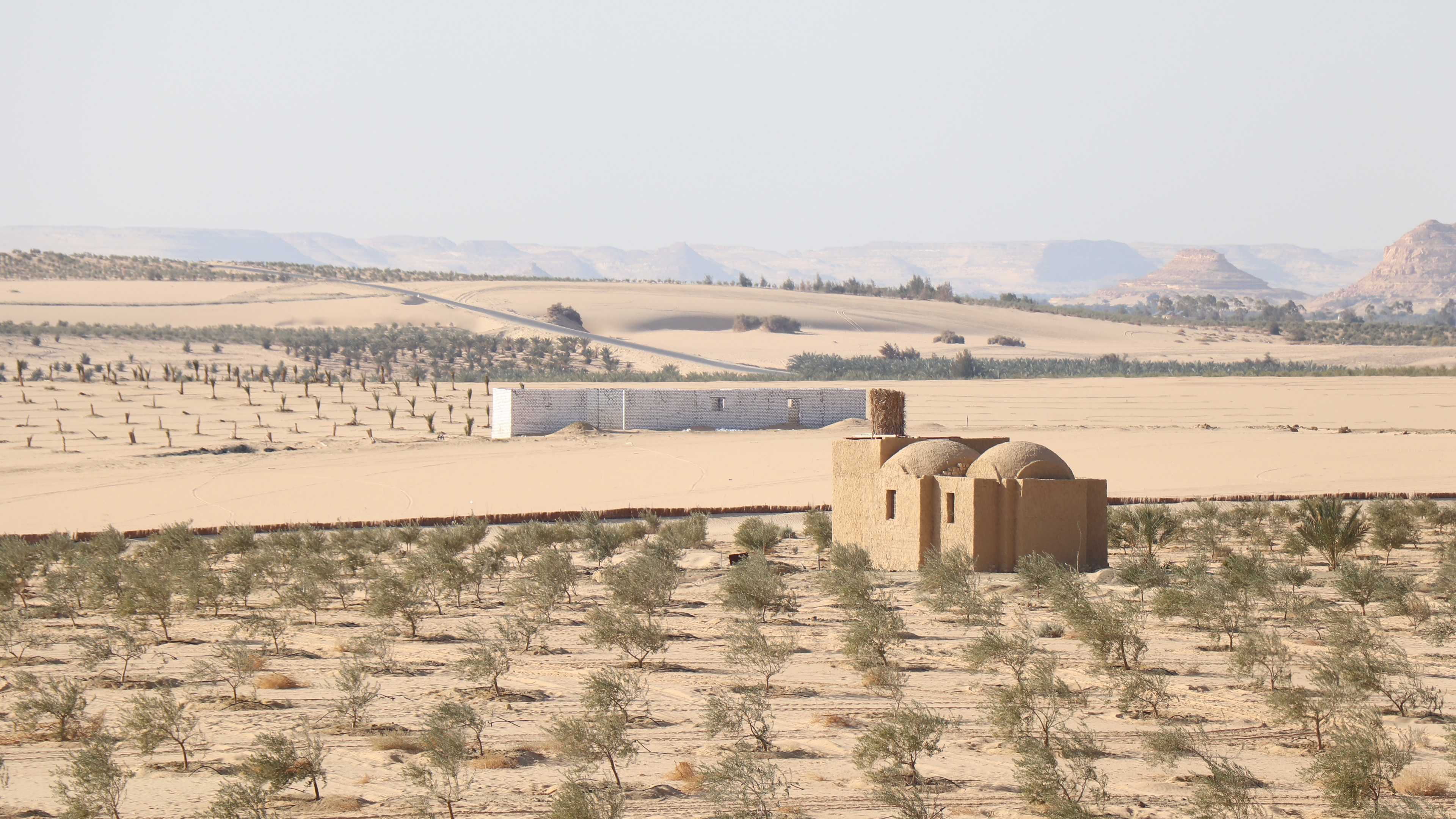 Siwa, Egypt - February 15, 2025